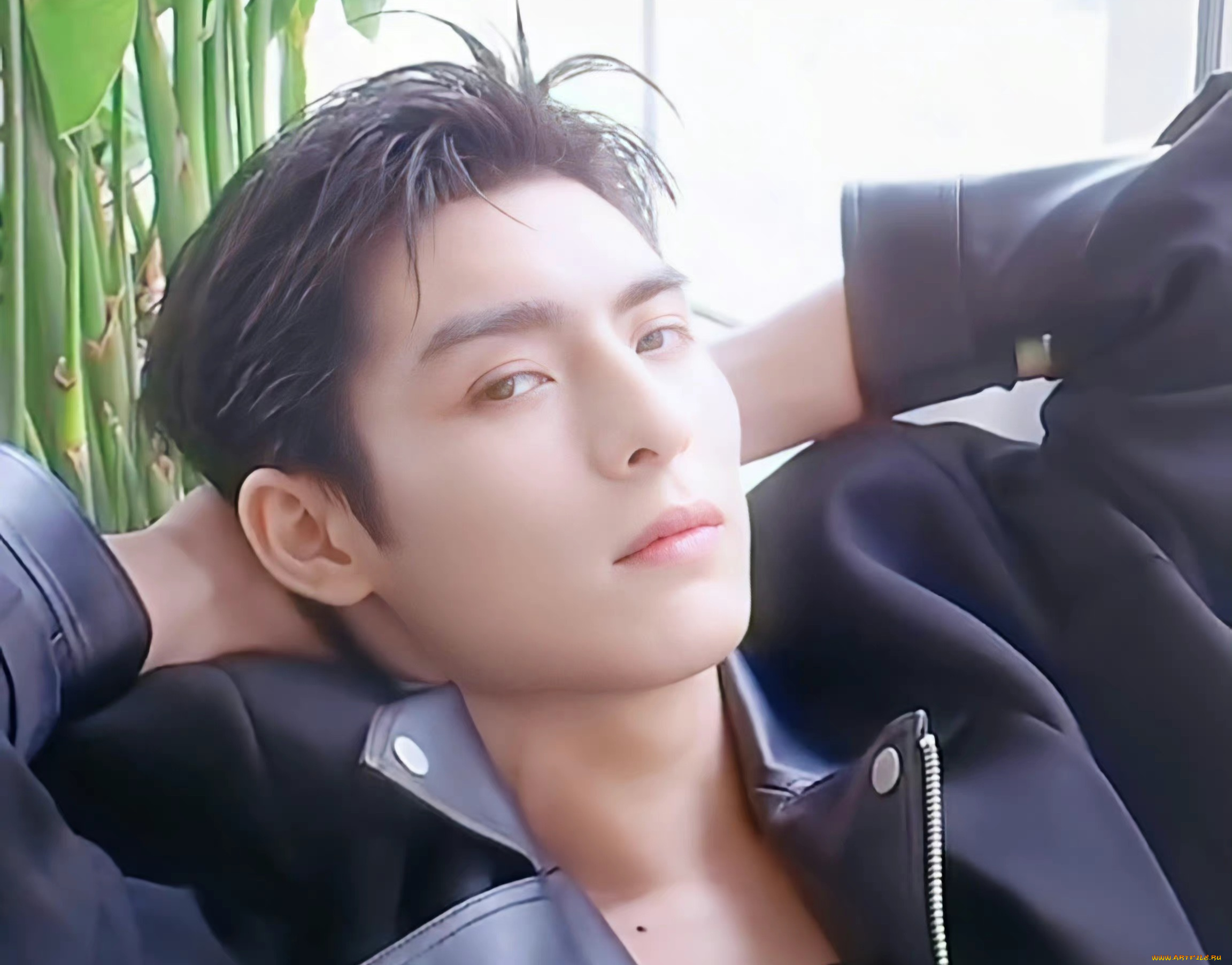 мужчины, wang, hao, xuan, ван, хао, сюань