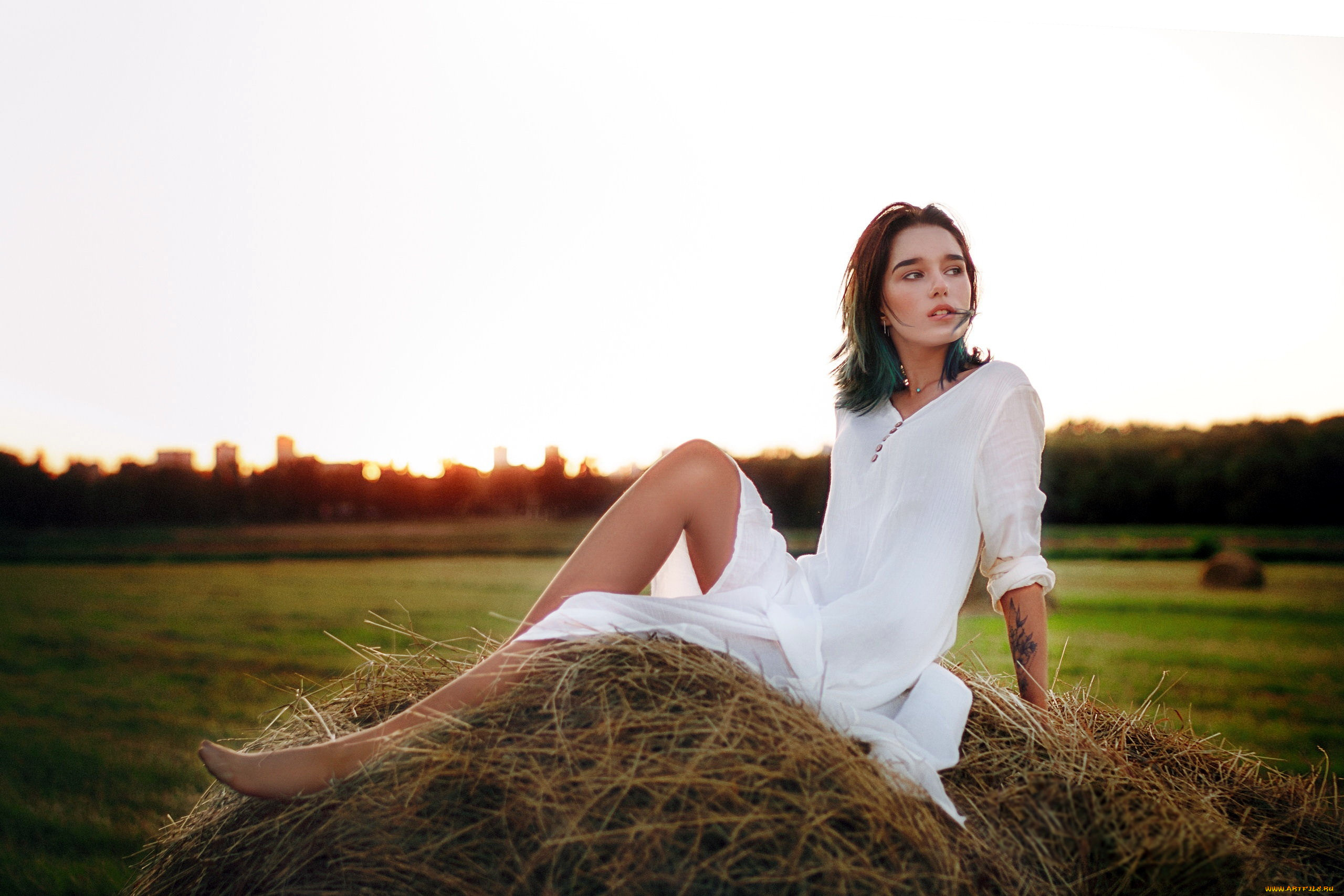 девушки, -, рыжеволосые, и, разноцветные, сено, белое, платье, мария, ларина