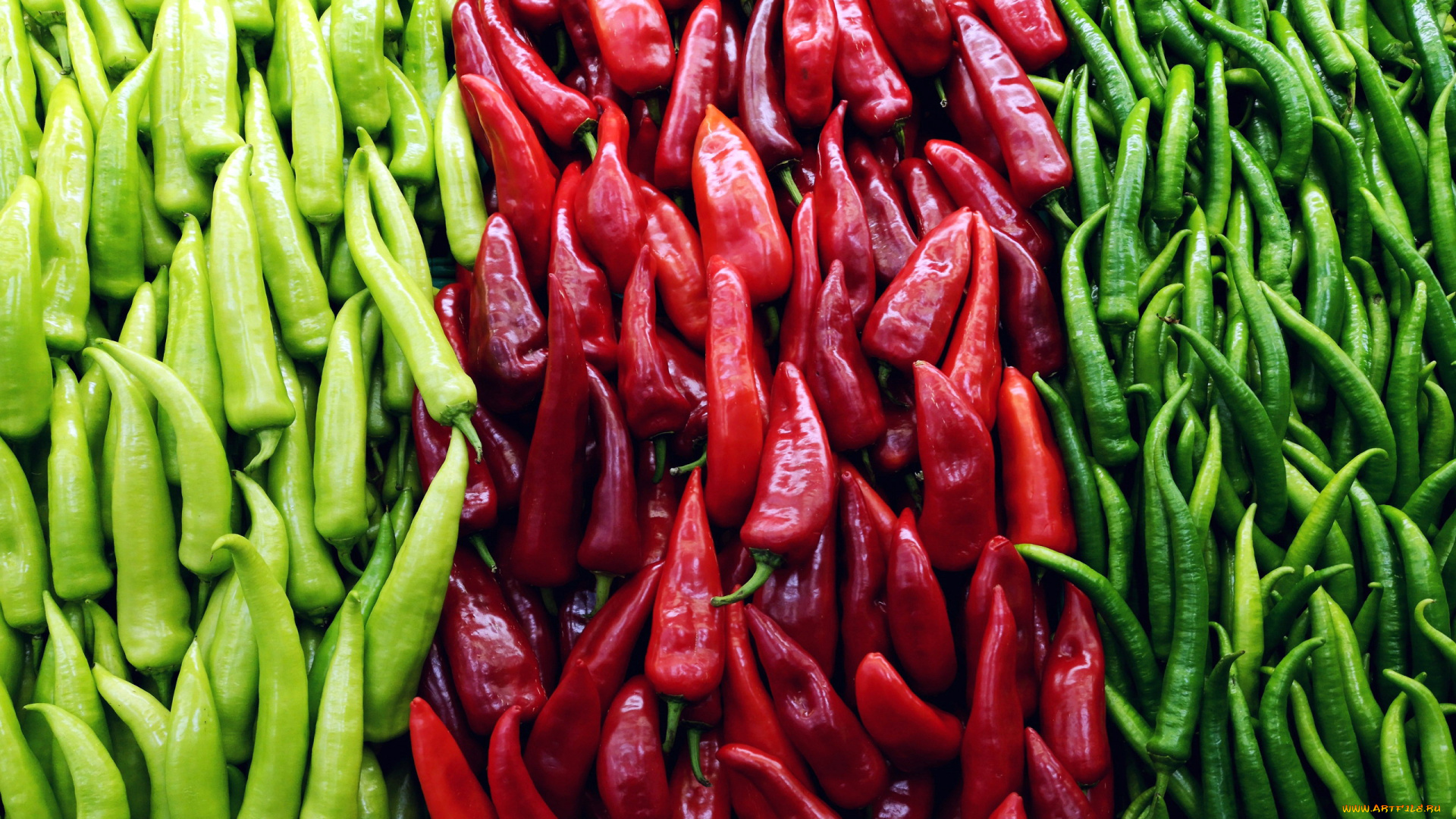 еда, перец, острый, зеленый, красный, стручки, много