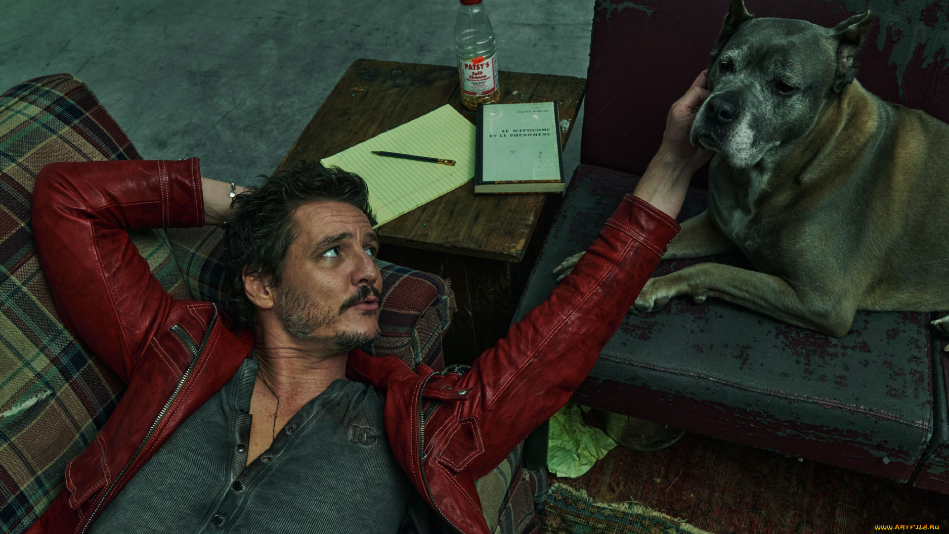 мужчины, pedro, pascal, хосе, педро, бальмаседа, паскаль, актер, мужчина, знаменитости