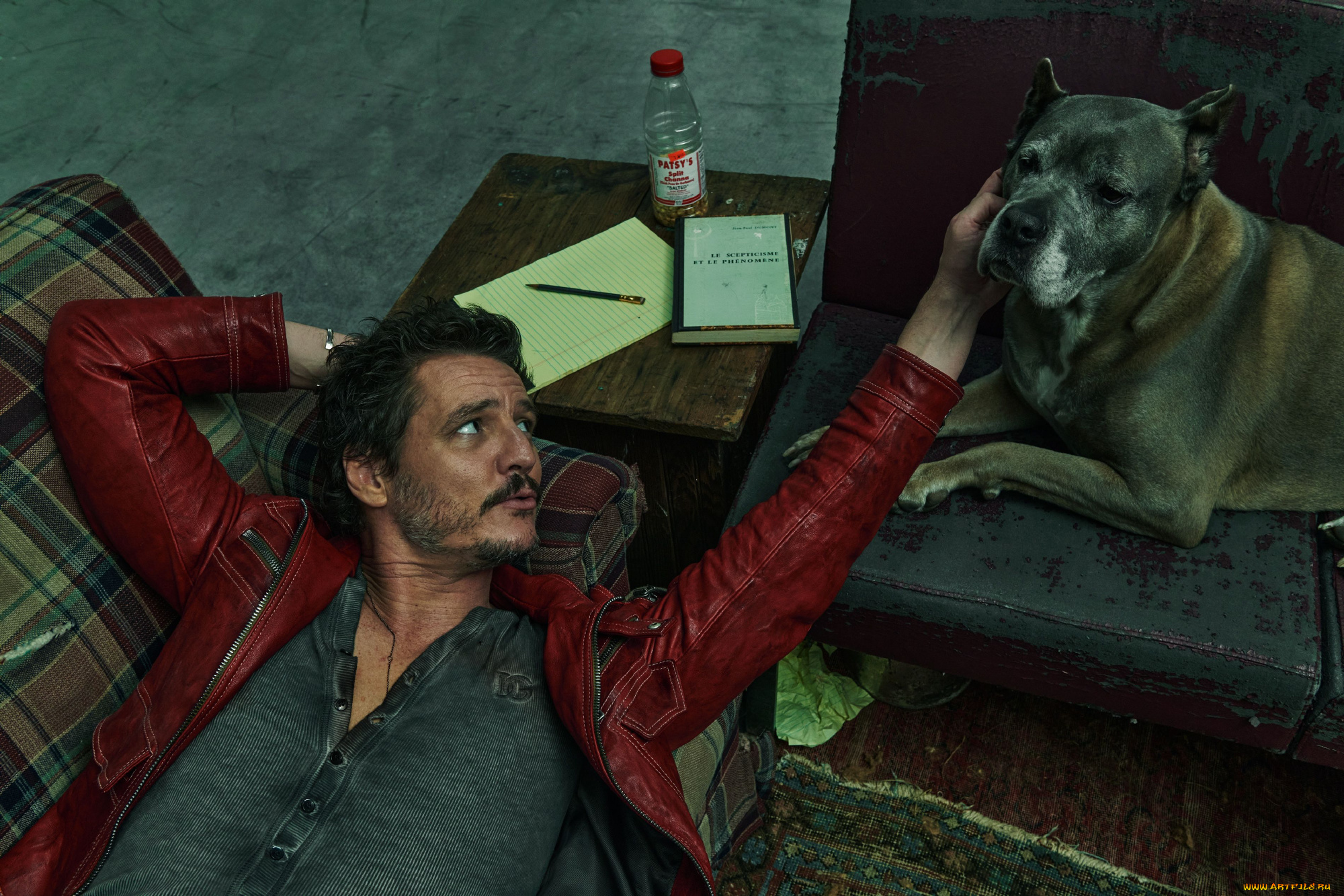 мужчины, pedro, pascal, хосе, педро, бальмаседа, паскаль, актер, мужчина, знаменитости