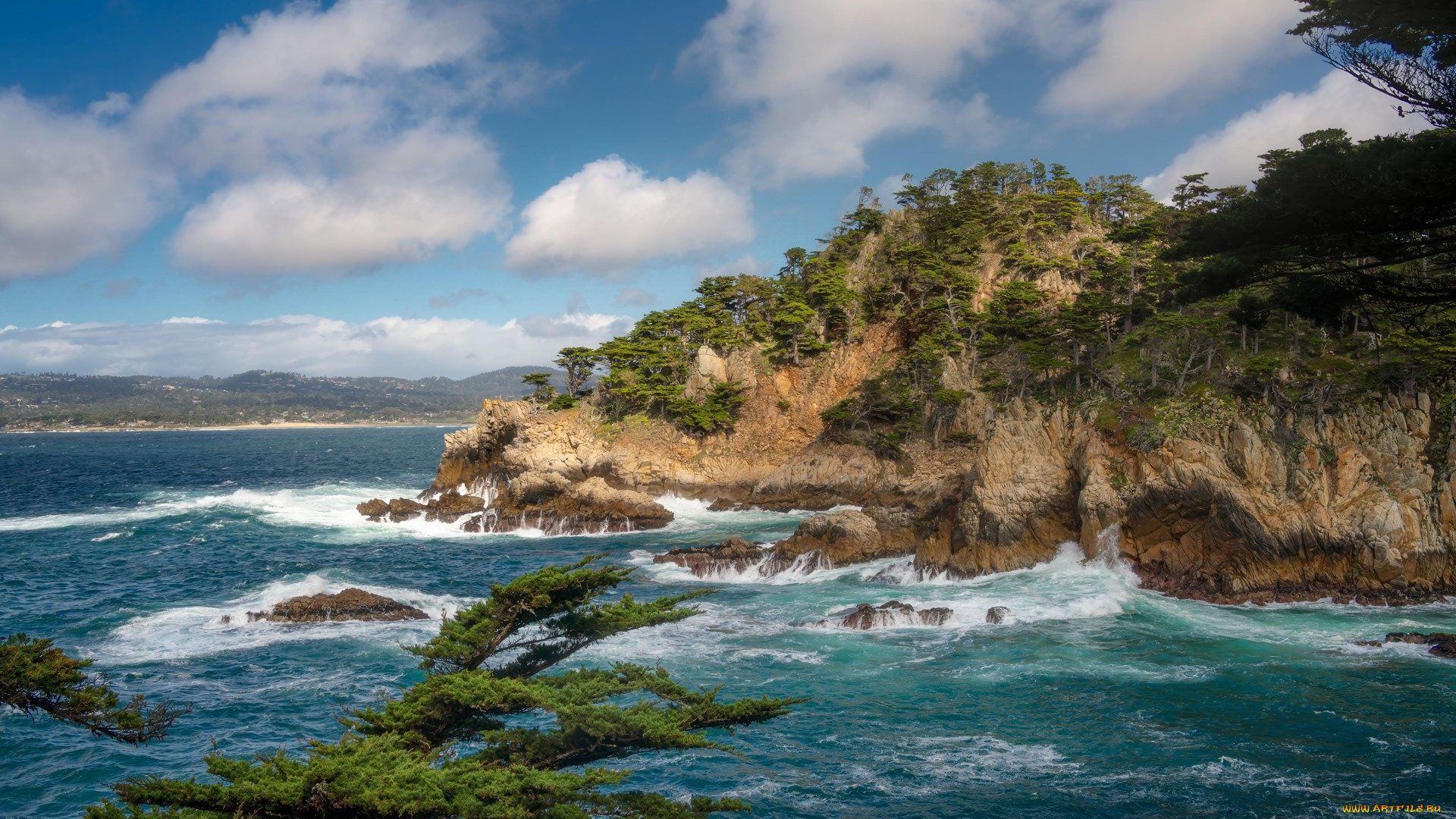 cypress, cove, at, point, lobos, california, природа, побережье, cypress, cove, at, point, lobos