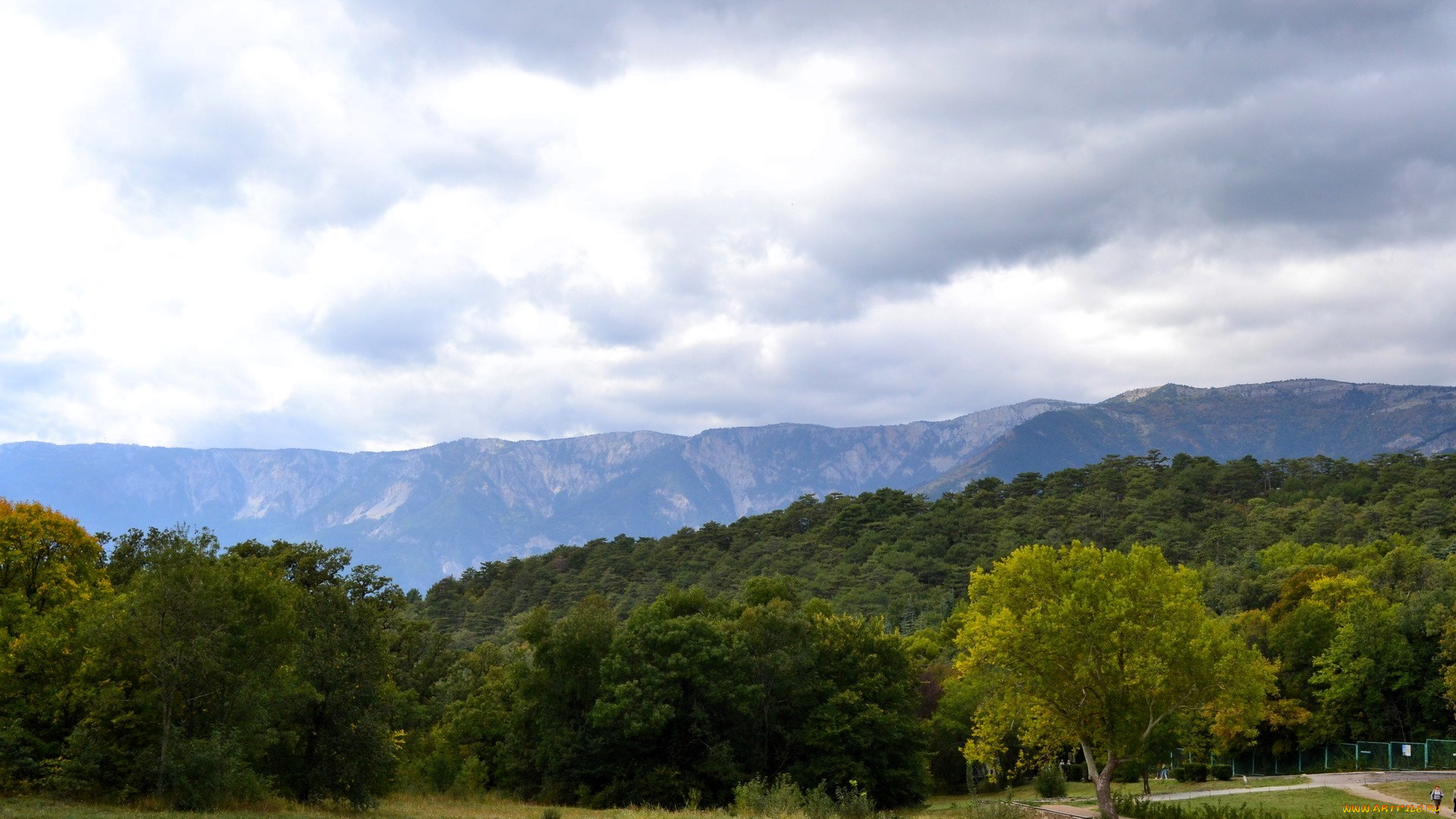 природа, горы, лес, дорога, луг