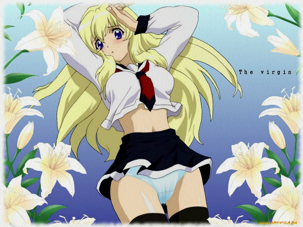 аниме, girls, bravo