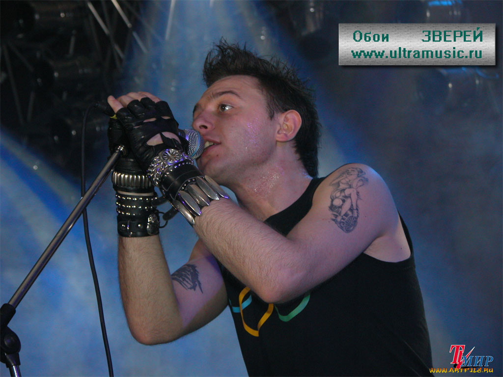 рома, зверь, музыка, звери