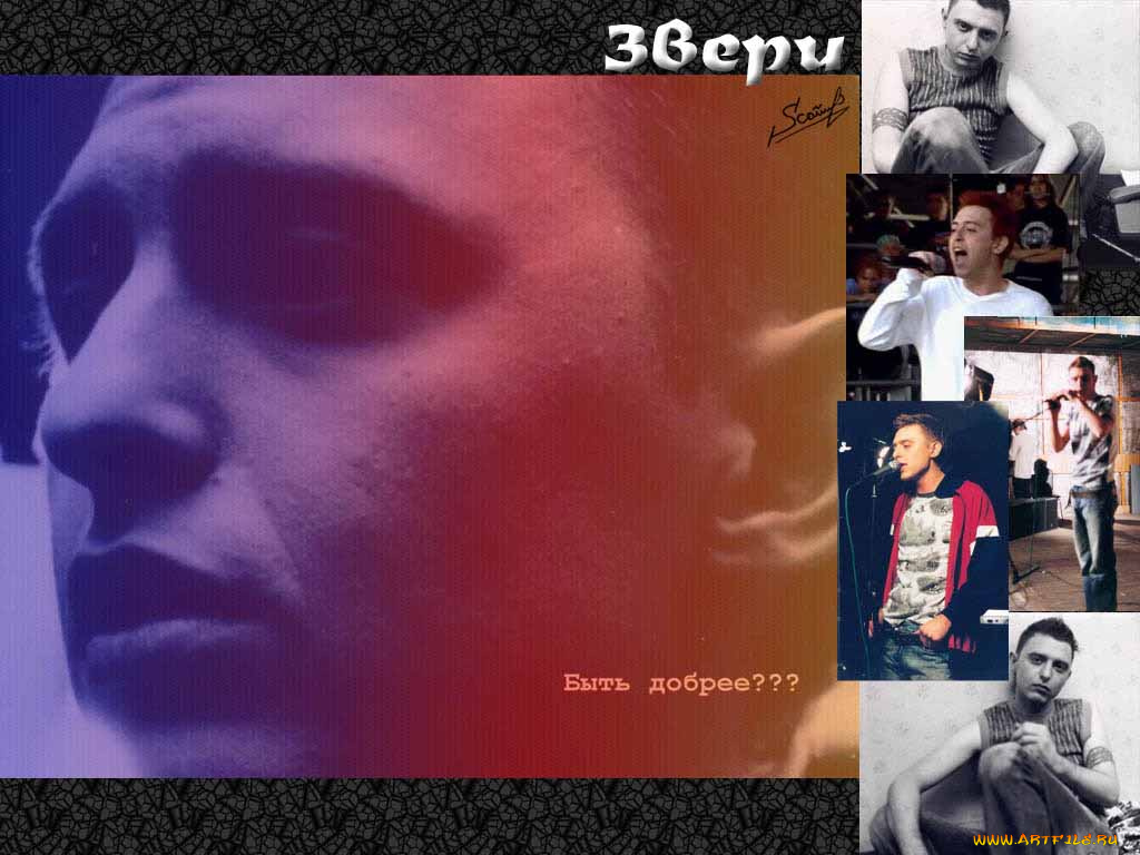 рома, зверь, музыка, звери