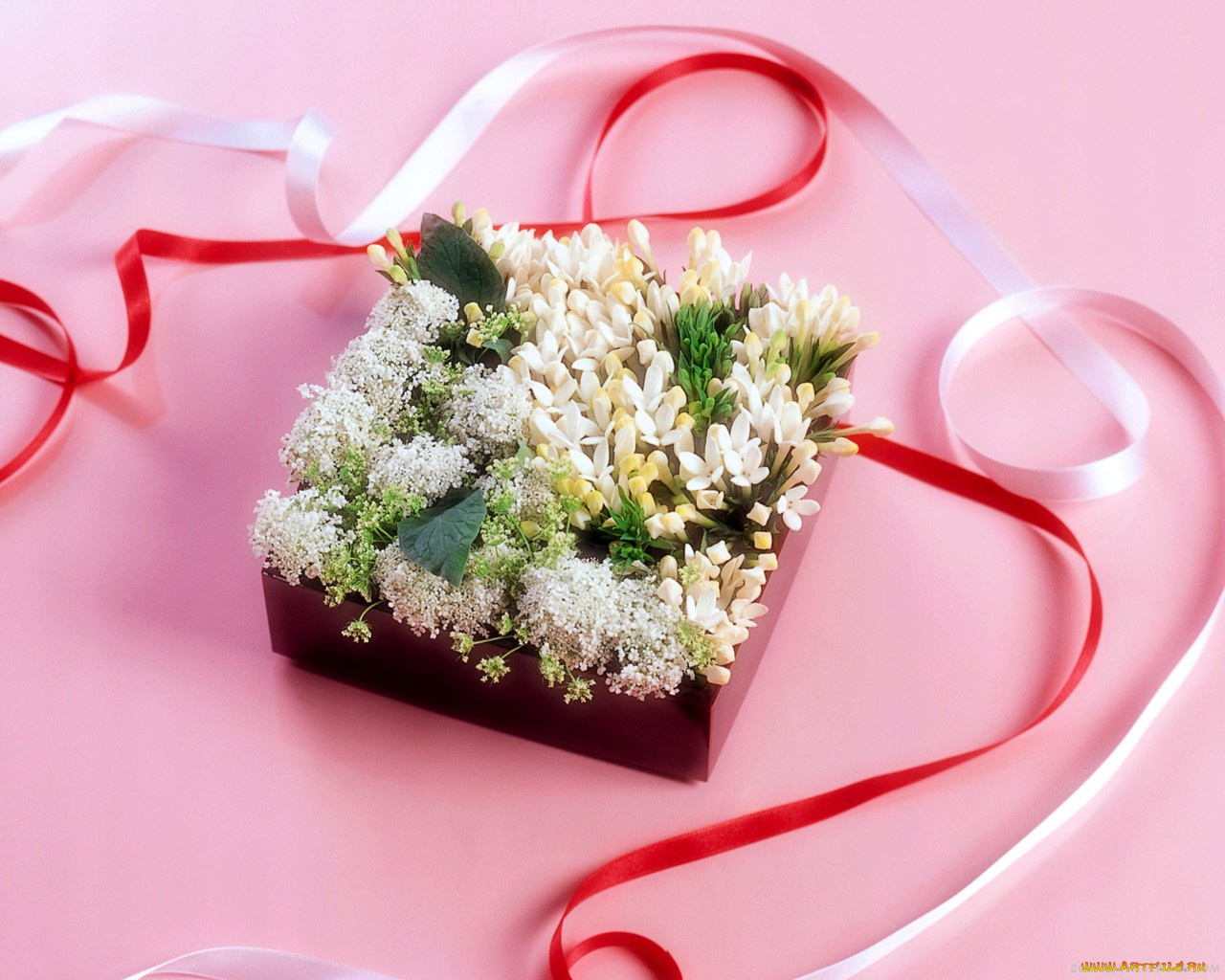 цветы, букеты, композиции