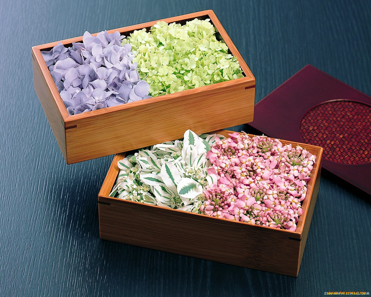 цветы, разные, вместе