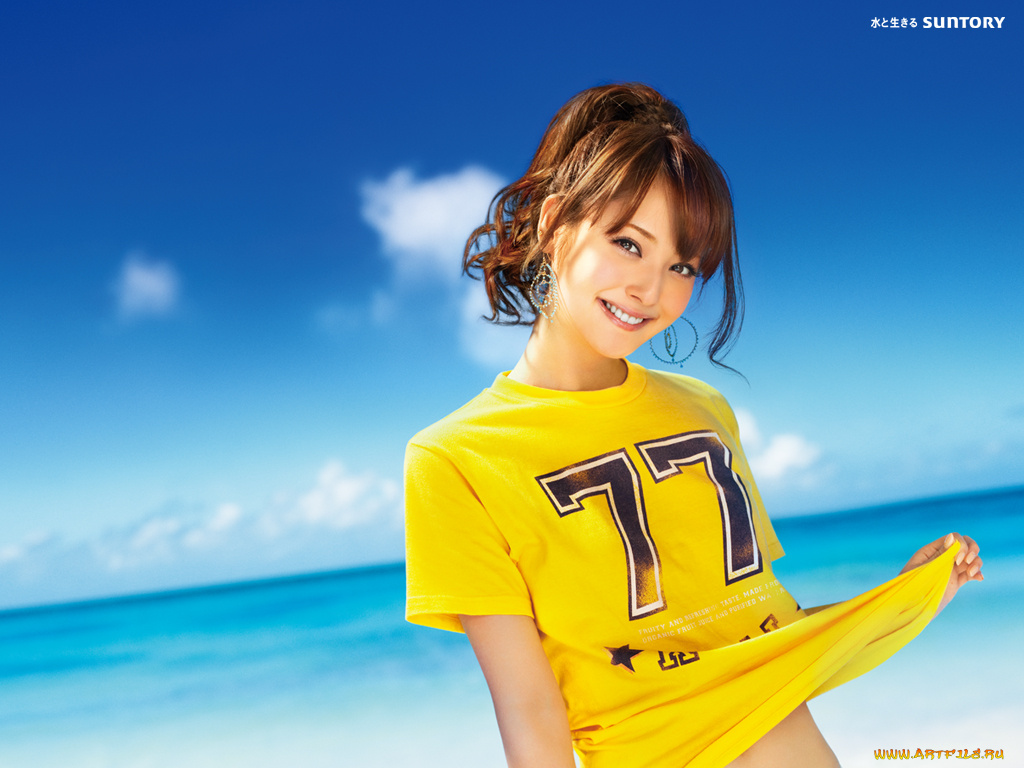 бренды, suntory