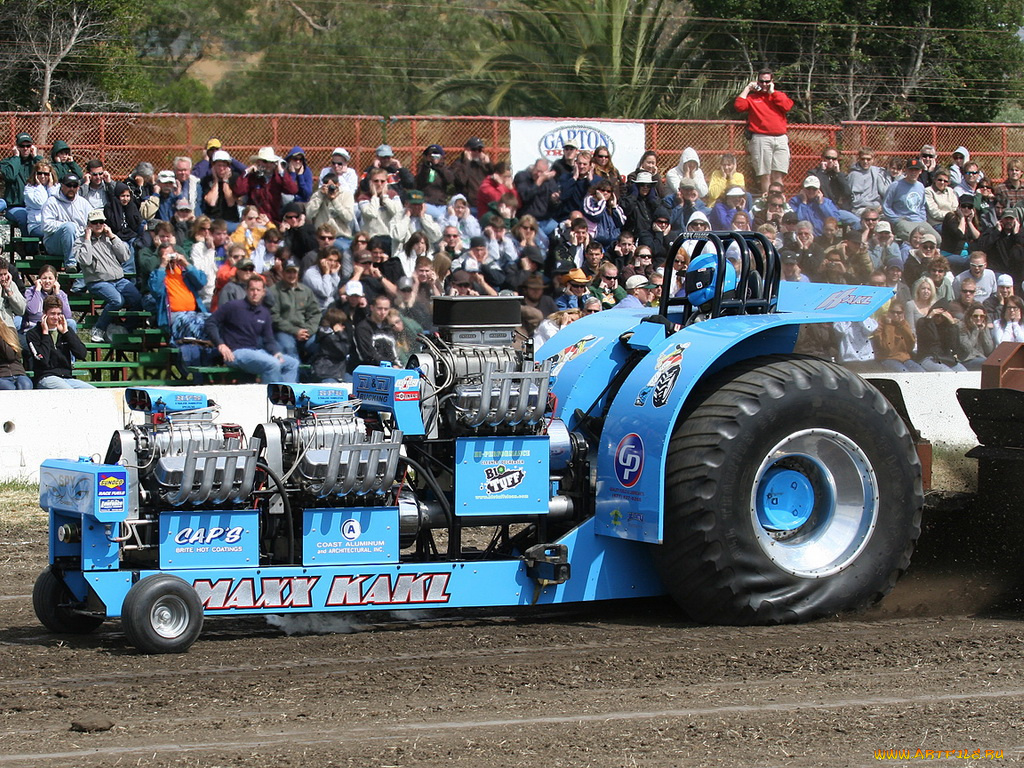 спорт, автоспорт