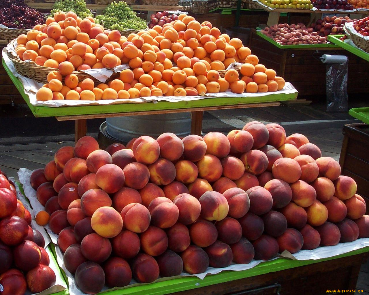 еда, персики, сливы, абрикосы