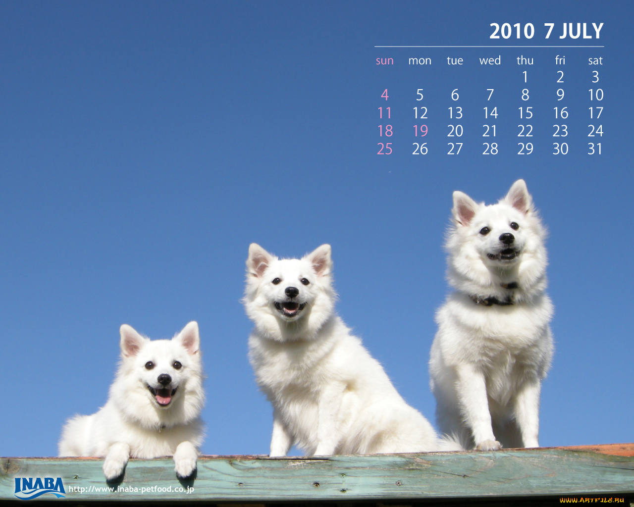 календари, животные