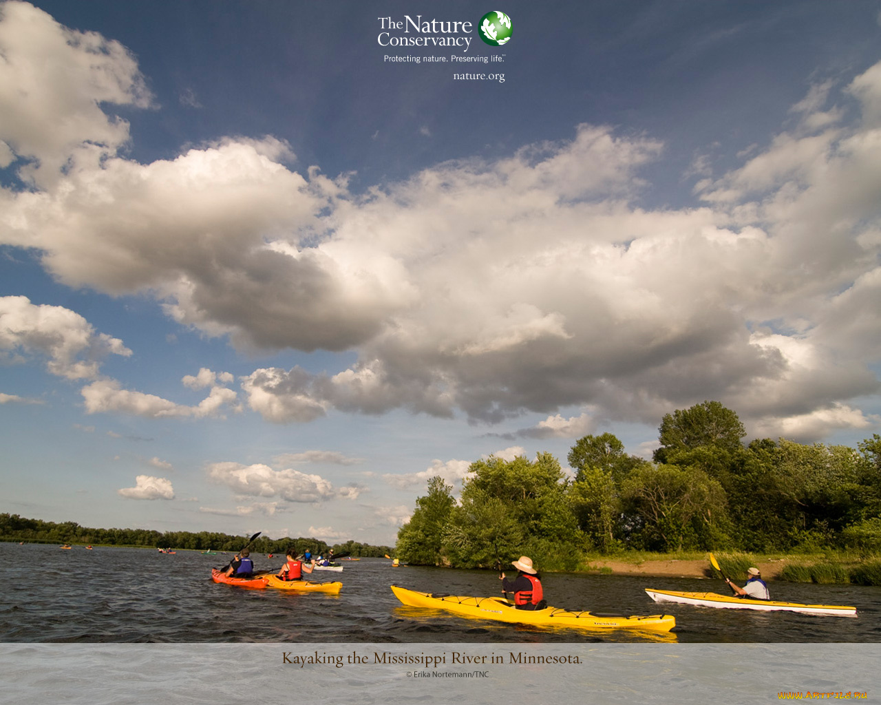 разное, люди