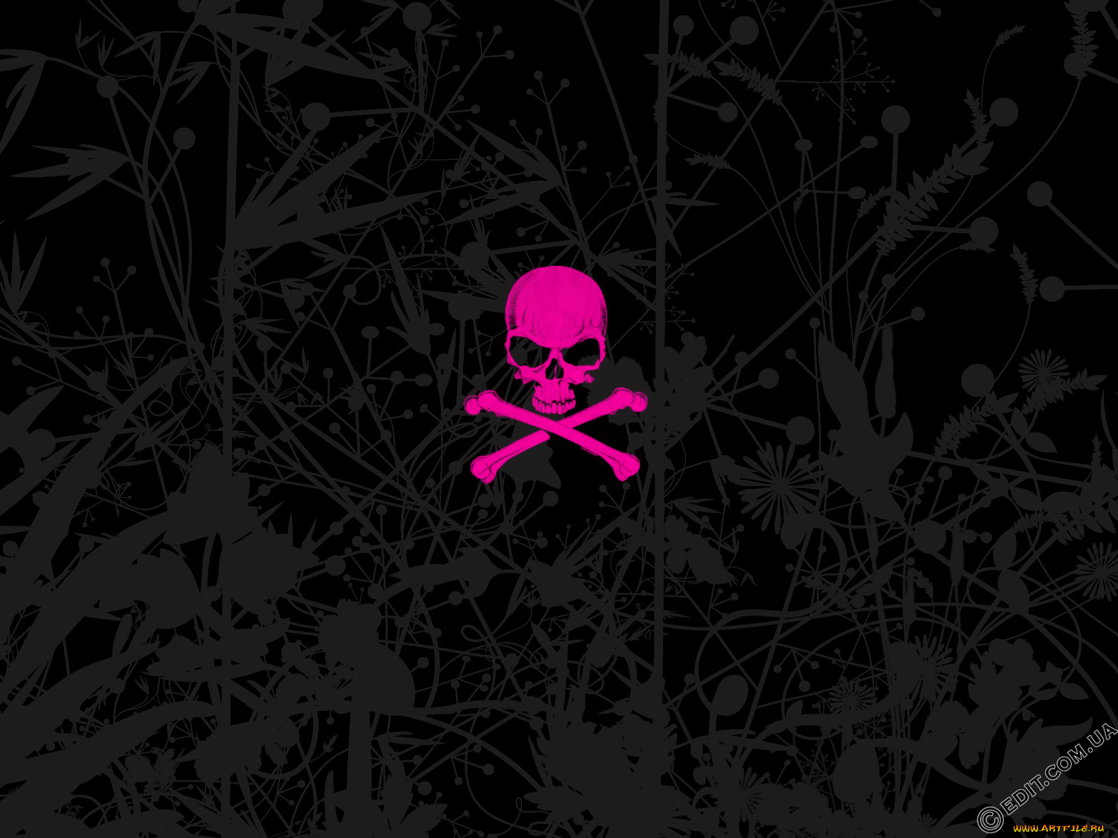 векторная, графика