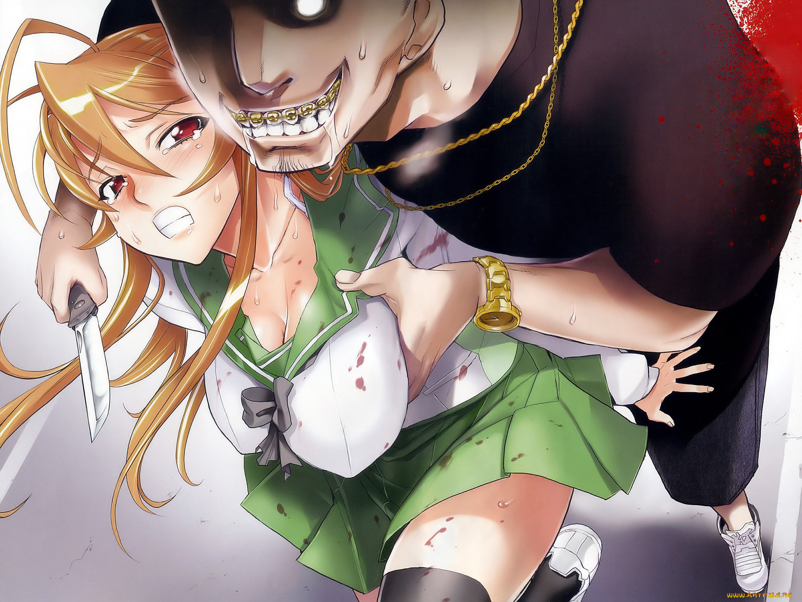 аниме, highschool, of, the, dead