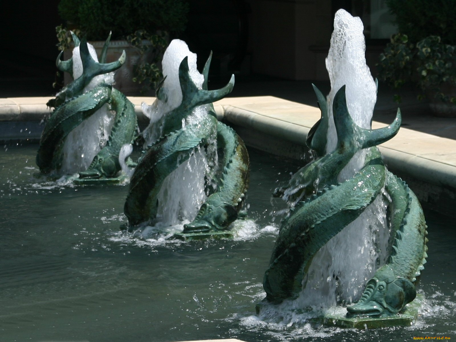 города, фонтаны