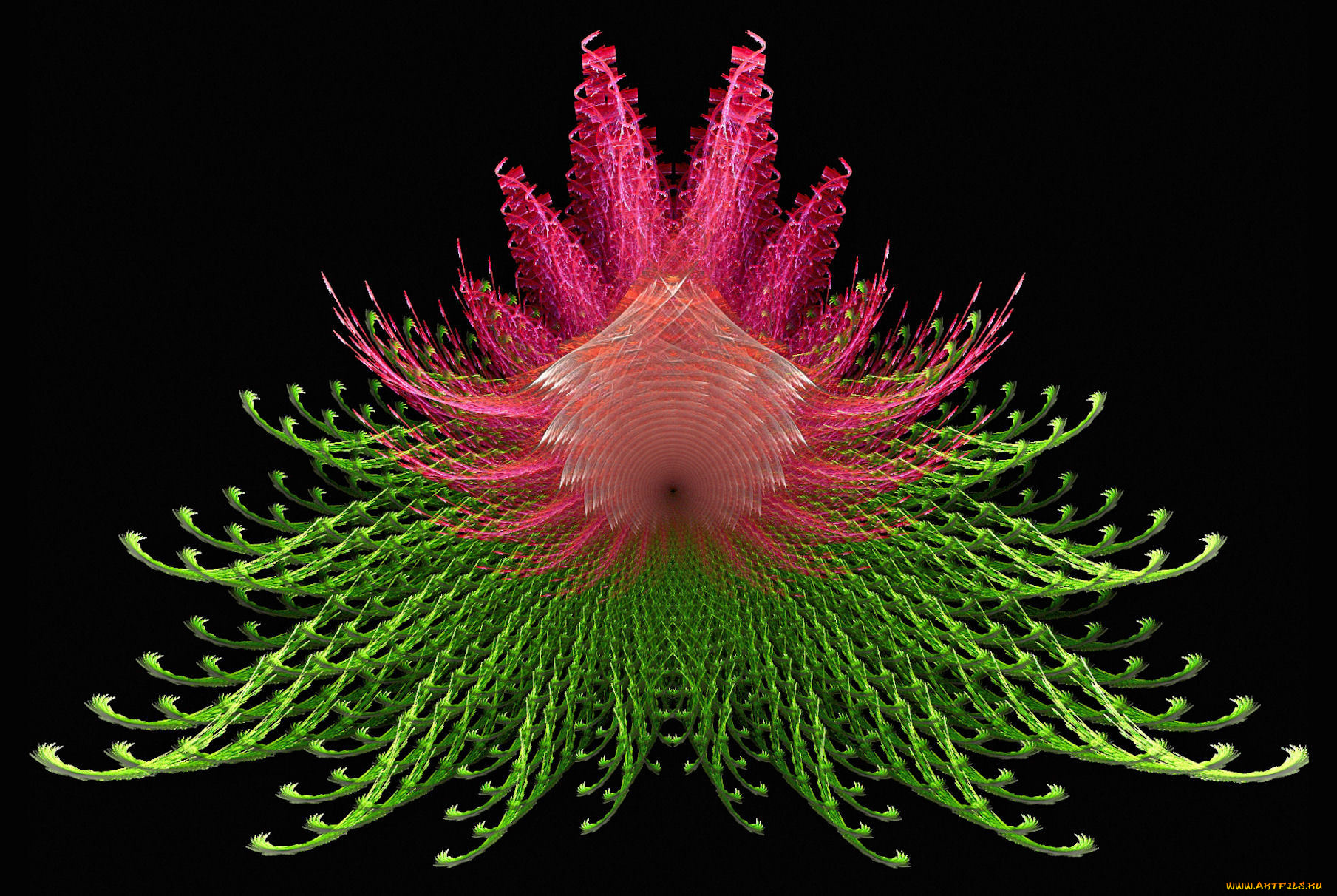 3д, графика, fractal, фракталы