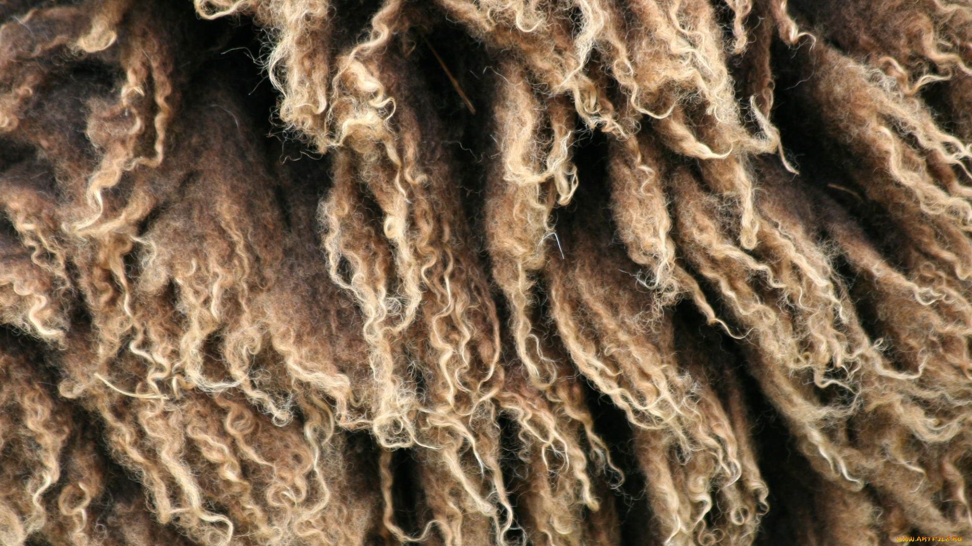 разное, текстуры, шерсть