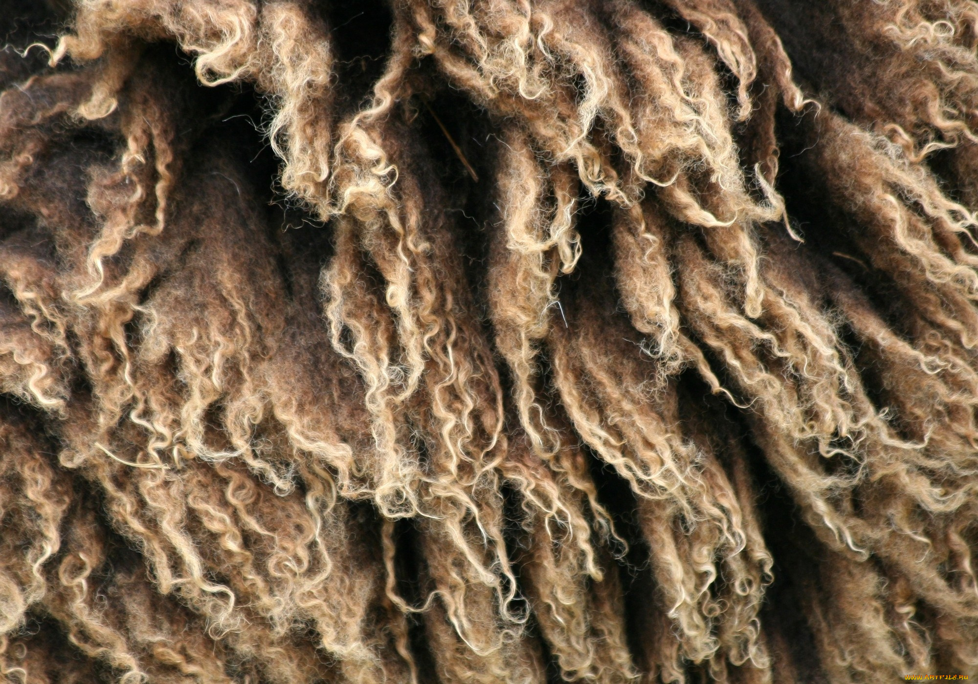 разное, текстуры, шерсть