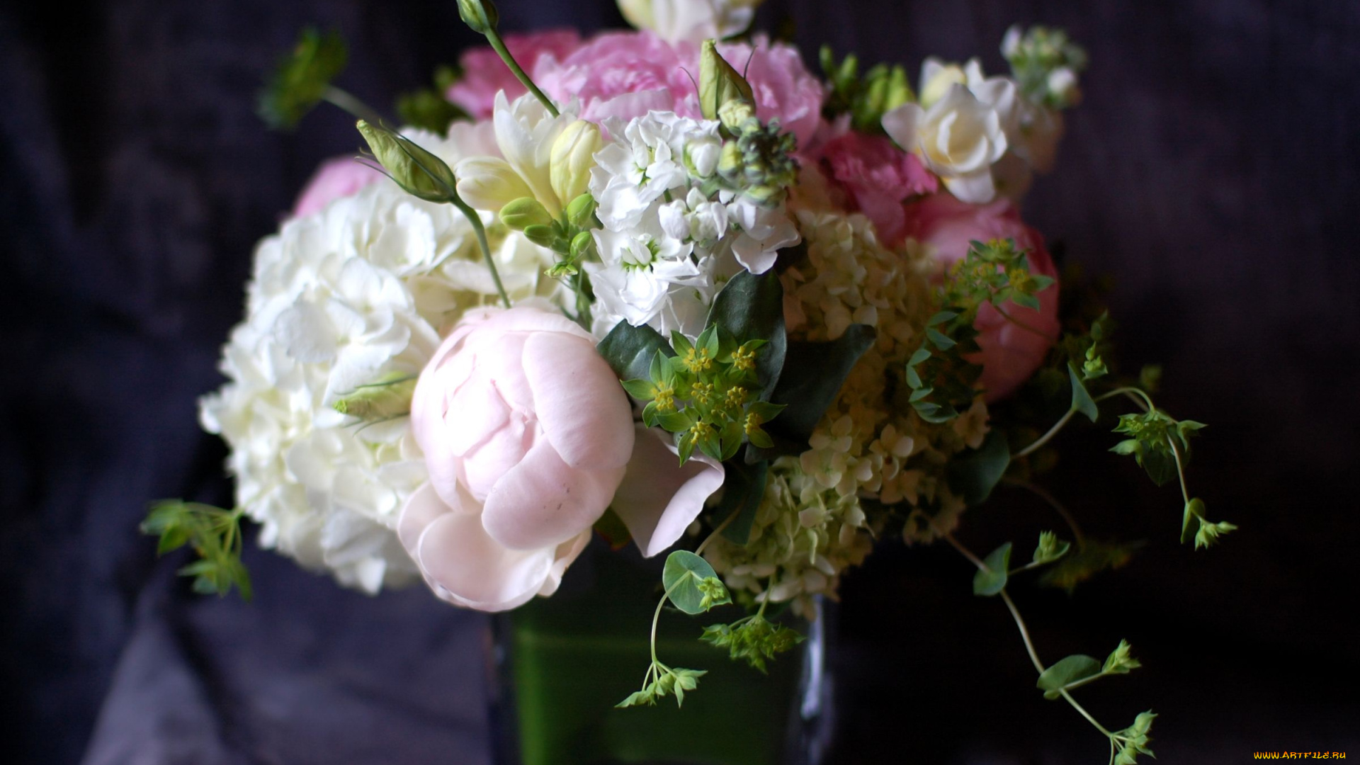 цветы, букеты, композиции, пионы, левкой, гортензия