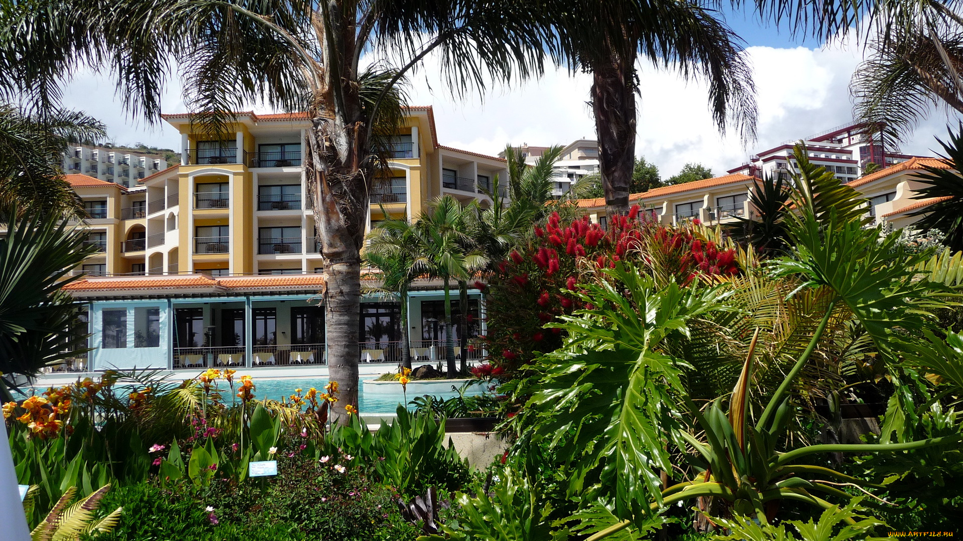 португалия, madeira, фуншал, города, улицы, площади, набережные, зона, отдыха, гостиница, бассейн, пальмы