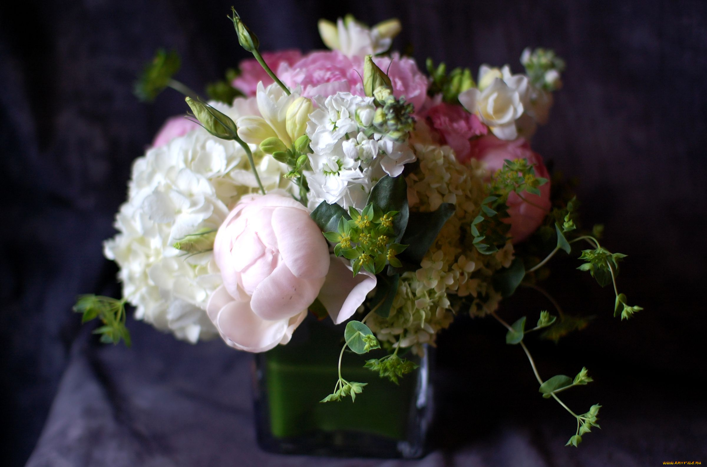цветы, букеты, композиции, пионы, левкой, гортензия
