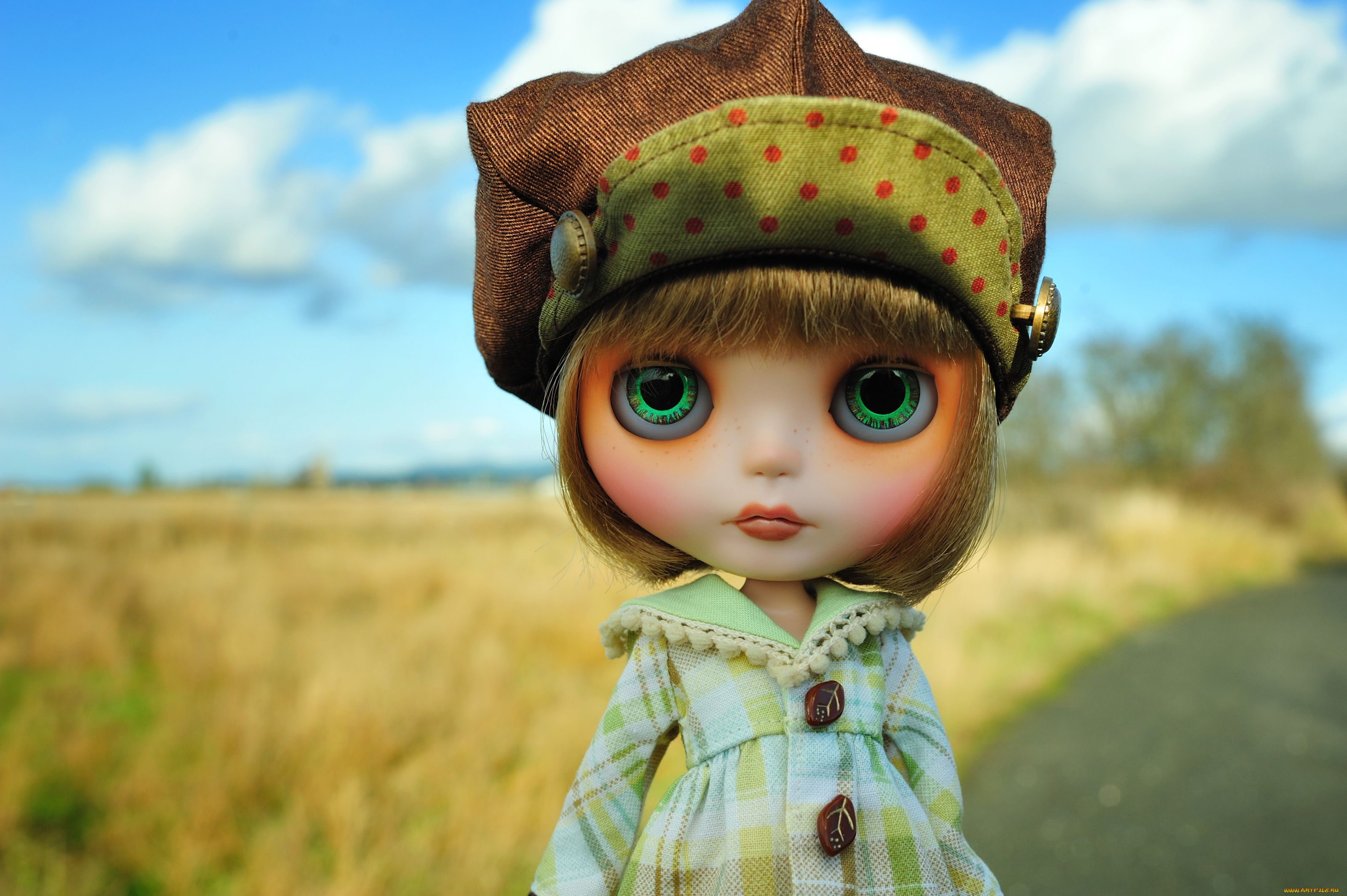 разное, игрушки, кукла, шапка