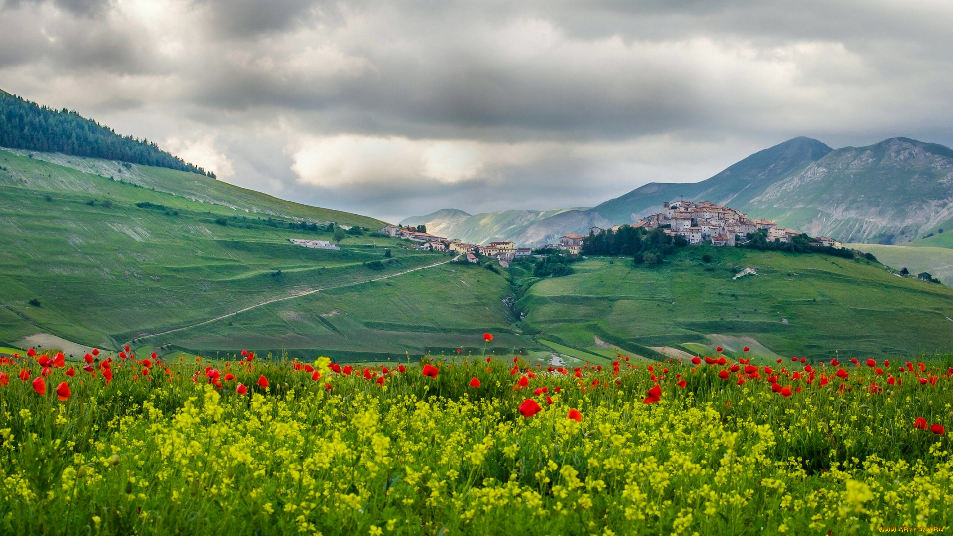 castelluccio, , umbria, , italy, города, -, панорамы, umbria, italy, apennine, mountains, кастелуччо, умбрия, италия, апеннинские, горы, деревня, луг, поля, цветы, панорама, пейзаж