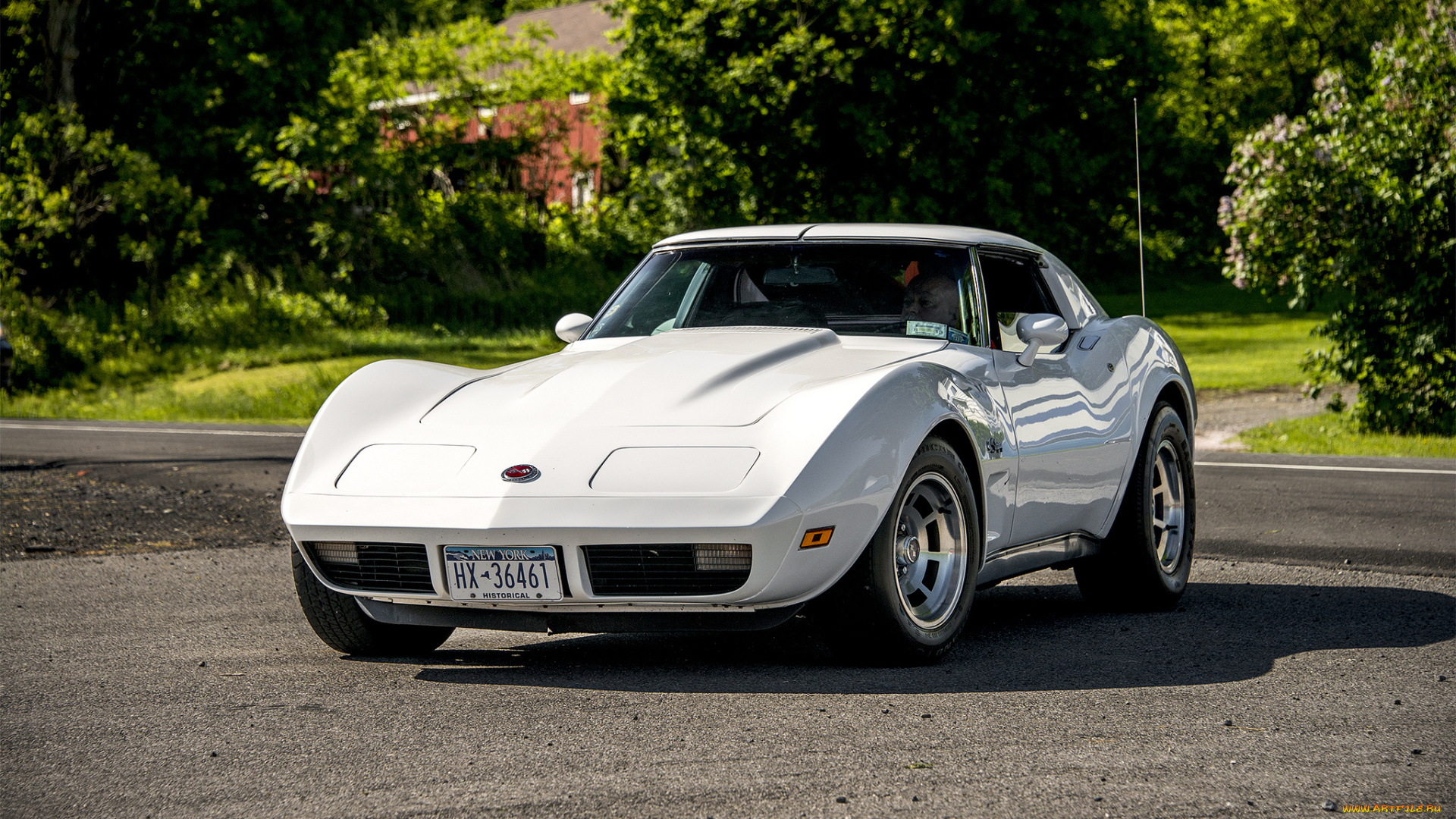 chevrolet, corvette, автомобили, corvette, автошоу, автопробег, выставка