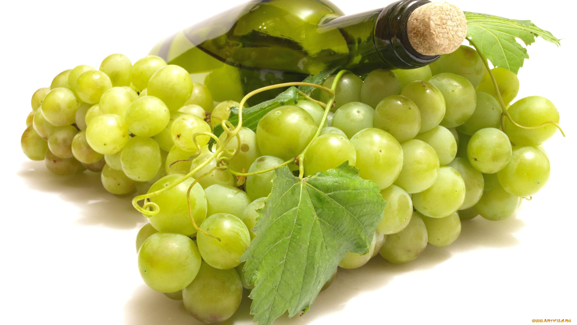 еда, напитки, , вино, бутылка