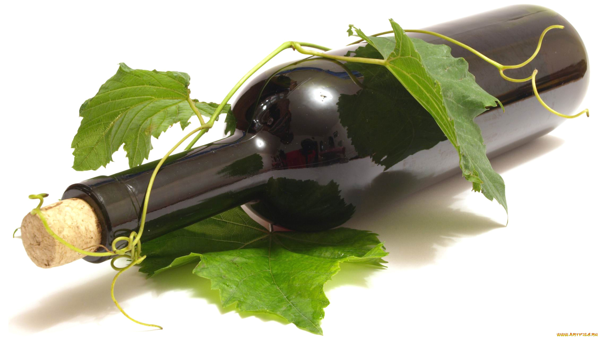 еда, напитки, , вино, бутылка