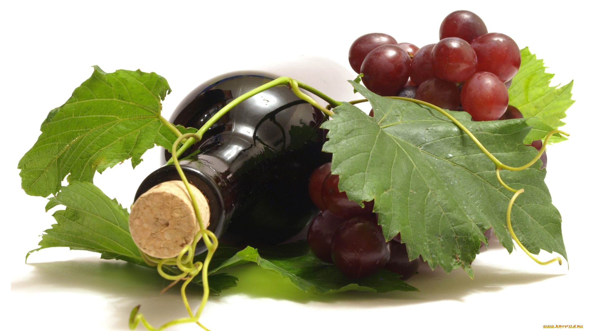 еда, напитки, , вино, бутылка