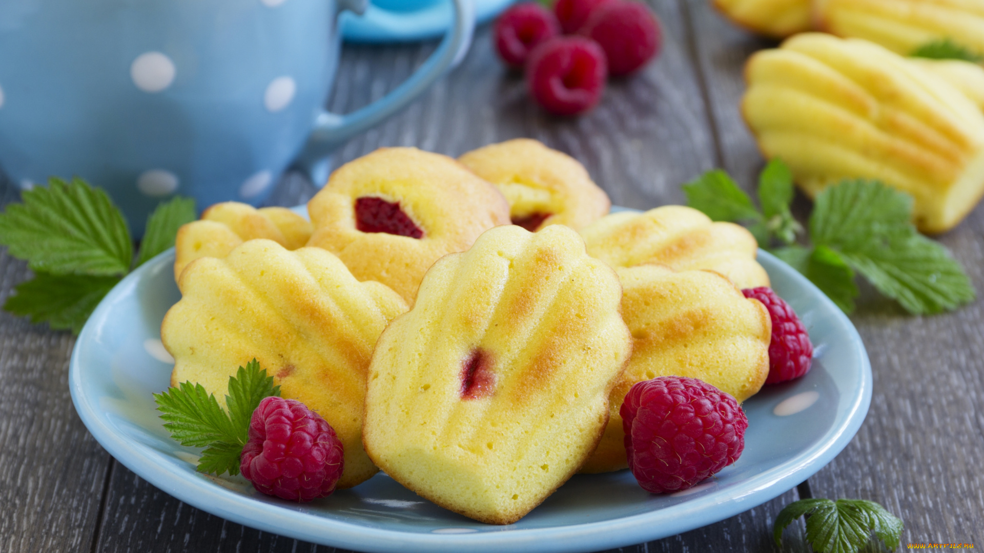 еда, пирожные, , кексы, , печенье, малина, мадлен