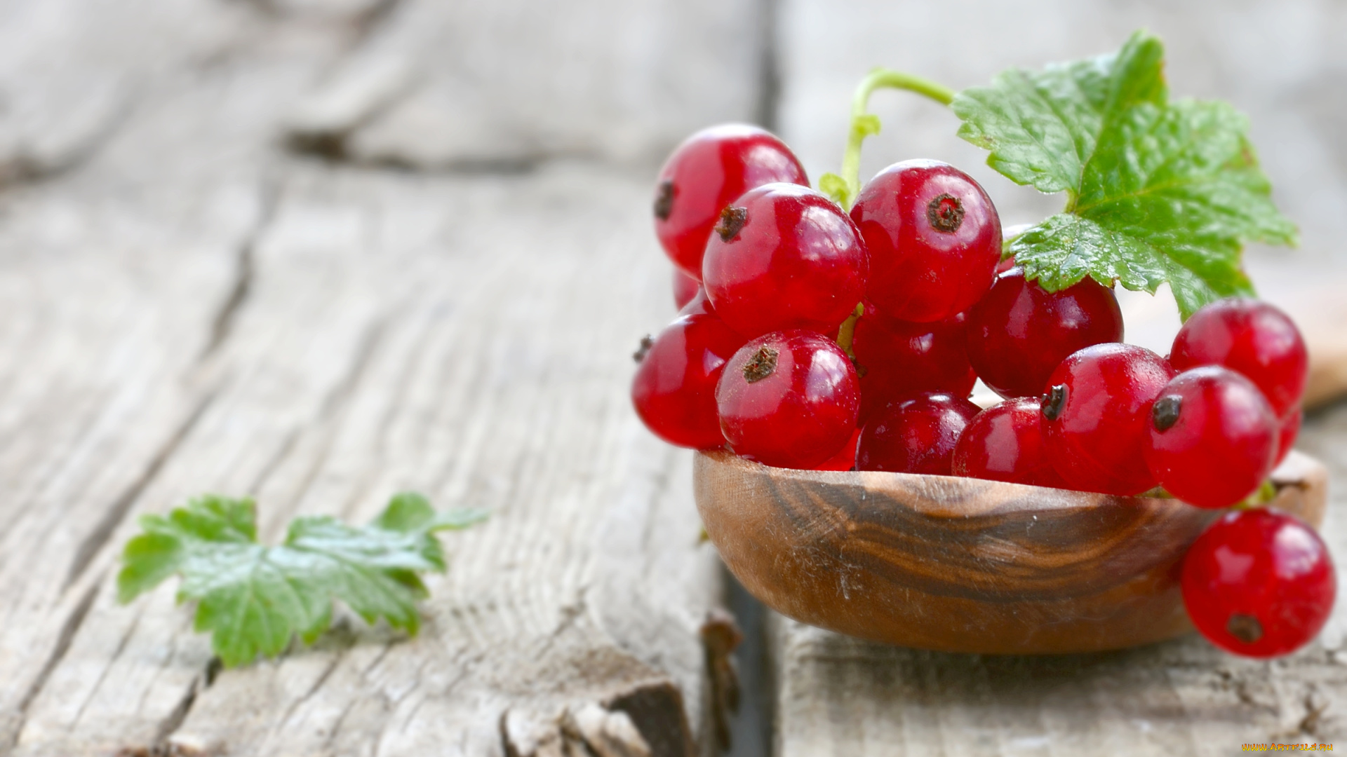 еда, смородина, красная