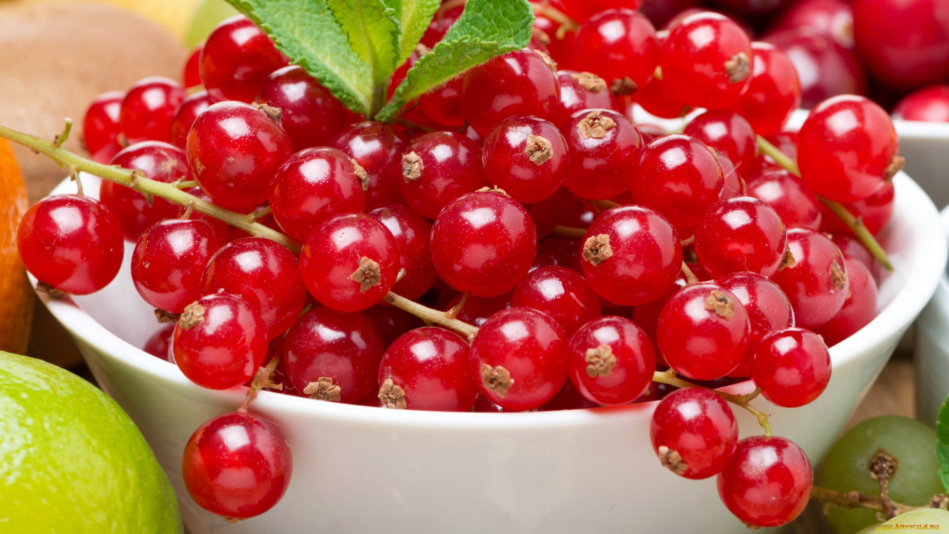 еда, смородина, красная