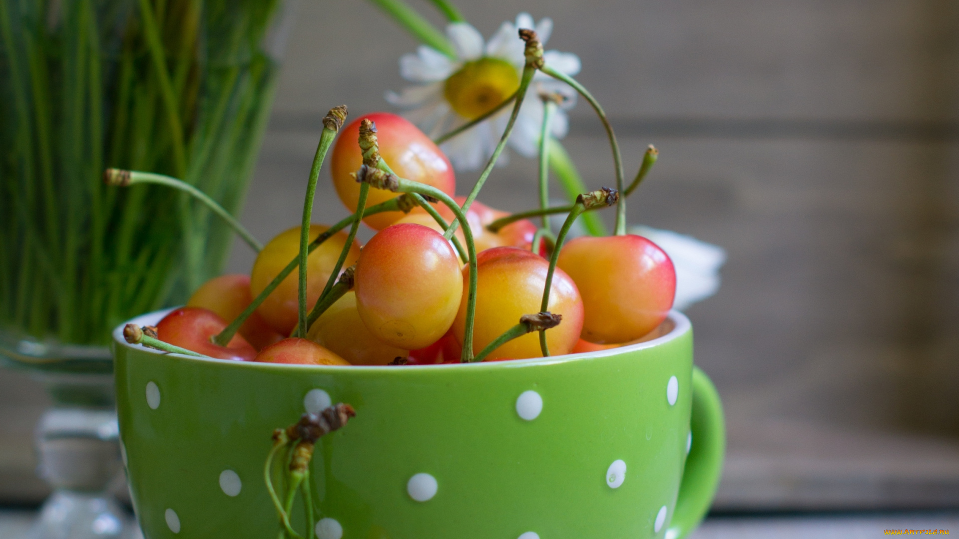 еда, вишня, , черешня, кружка, желтая, черешня, цветок, ромашка