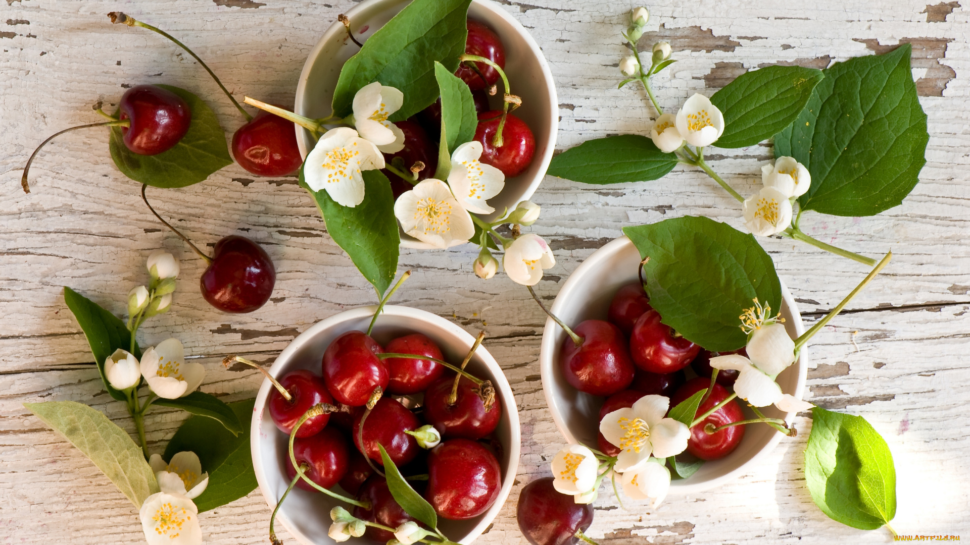 еда, вишня, , черешня, ягоды, черешня, жасмин