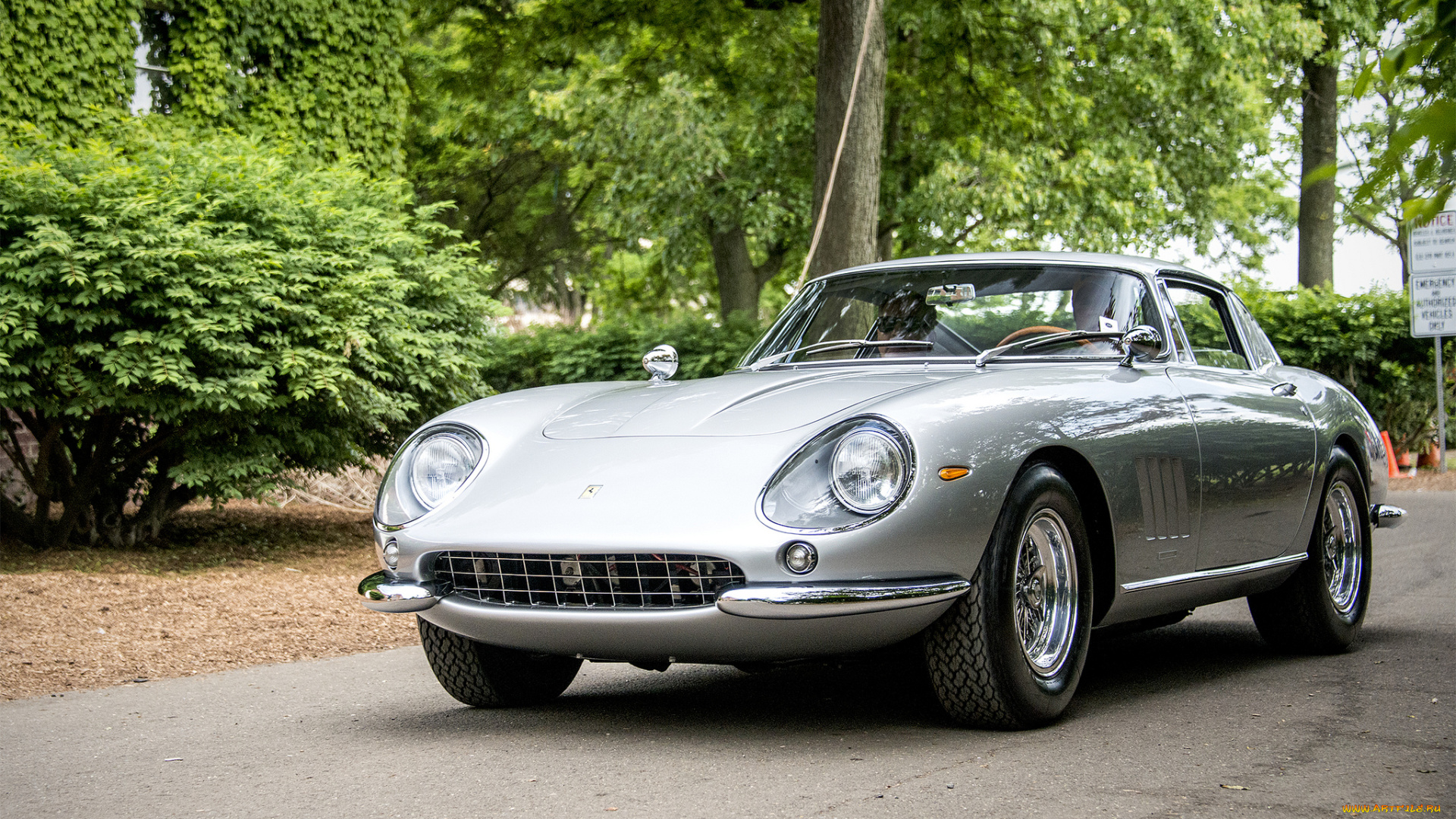 ferrari, 275, gtb, автомобили, ferrari, автопробег, выставка, автошоу