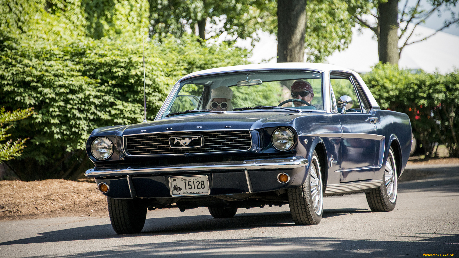 ford, mustang, автомобили, mustang, автошоу, автопробег, выставка