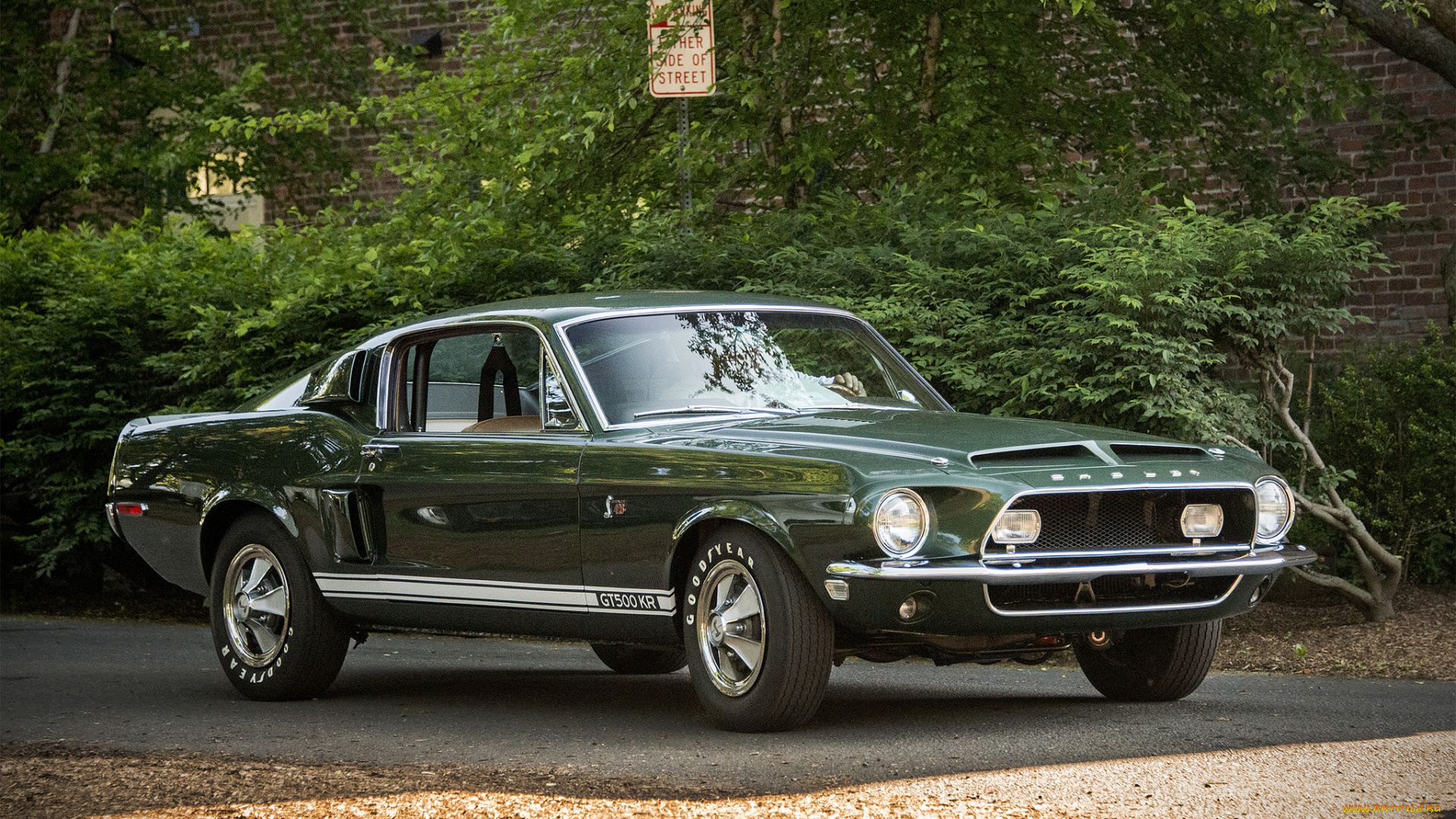 ford, mustang, gt500, kr, автомобили, mustang, автопробег, выставка, автошоу