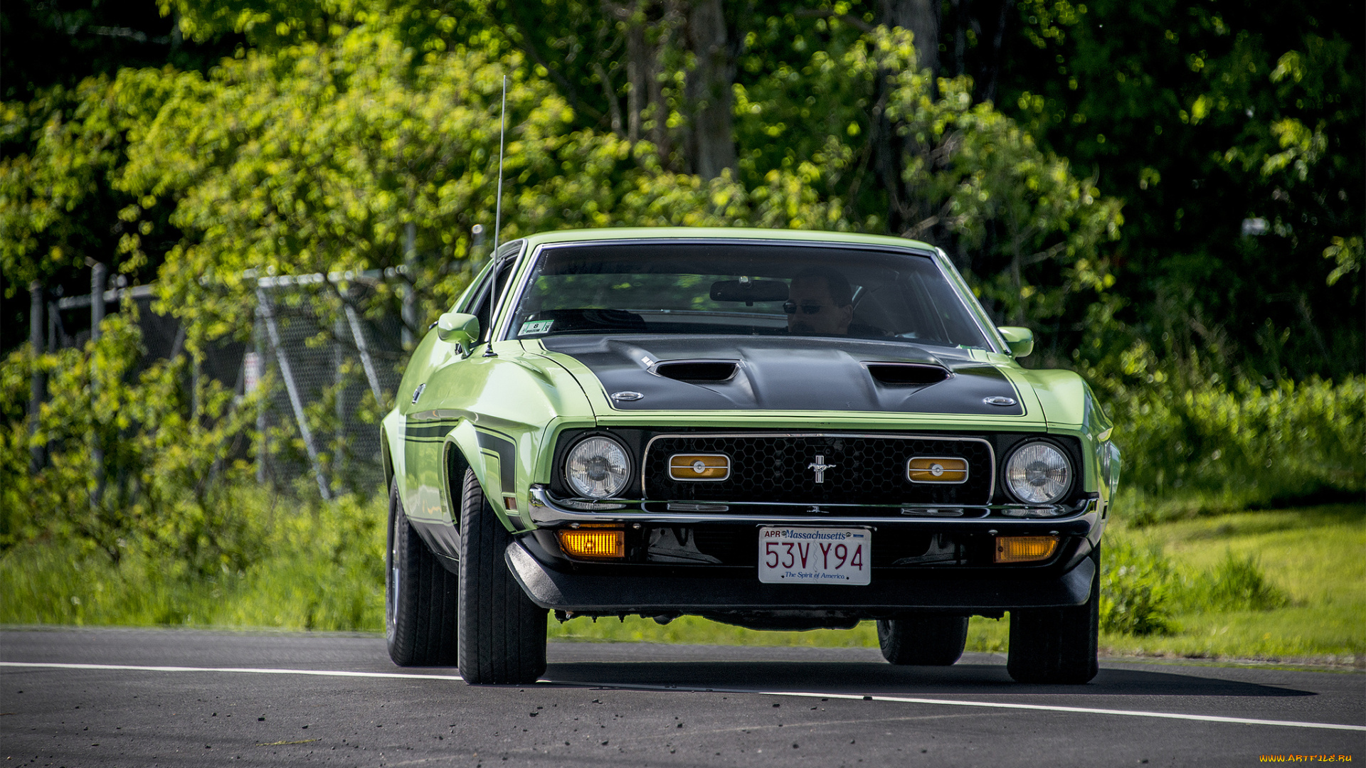 ford, mustang, mach, 1, автомобили, mustang, автопробег, автошоу, выставка