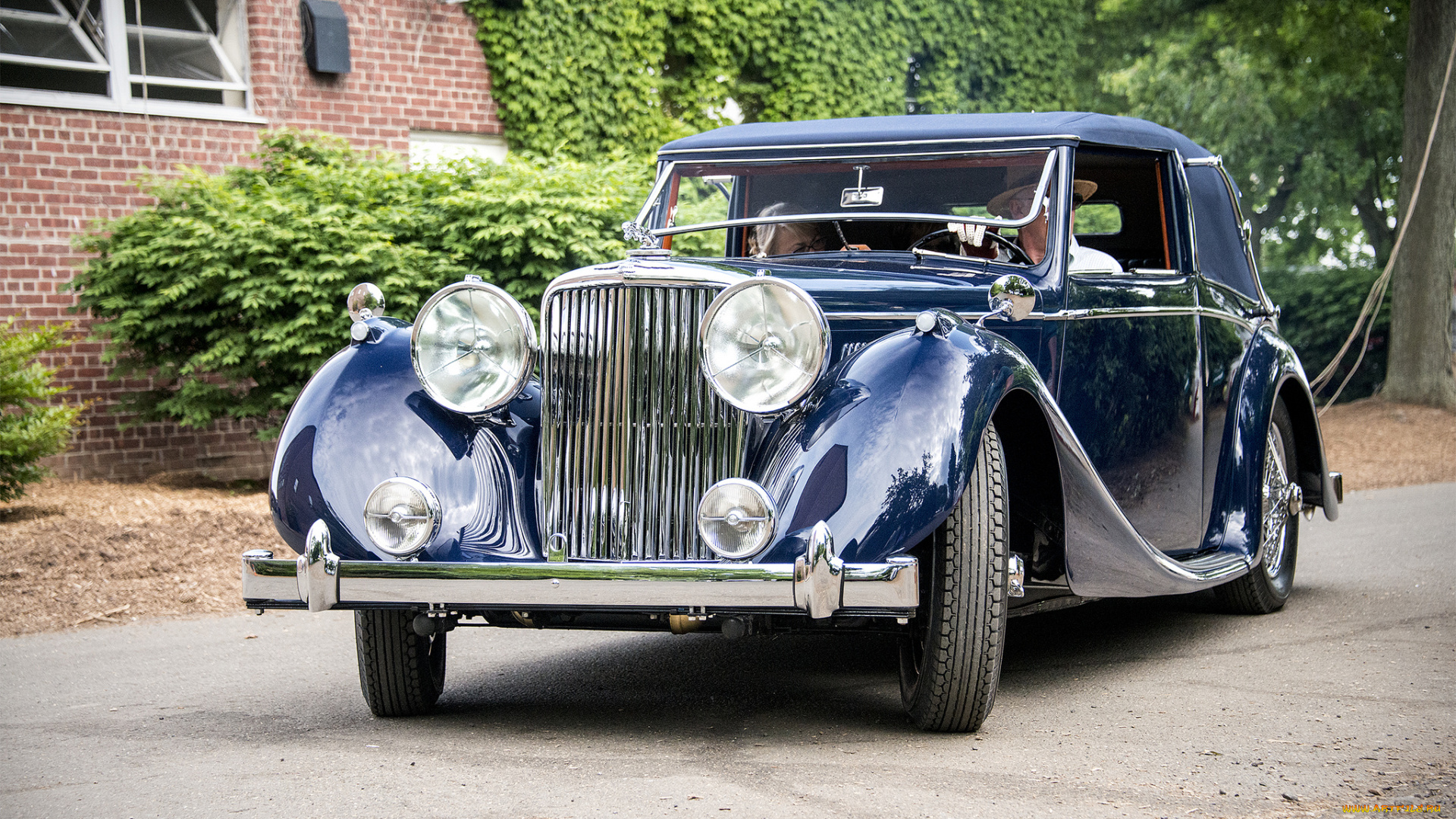 jaguar, автомобили, классика, выставка, автошоу, автопробег