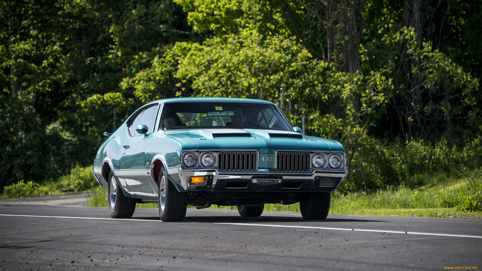 oldsmobile, 442, автомобили, oldsmobile, автопробег, выставка, автошоу