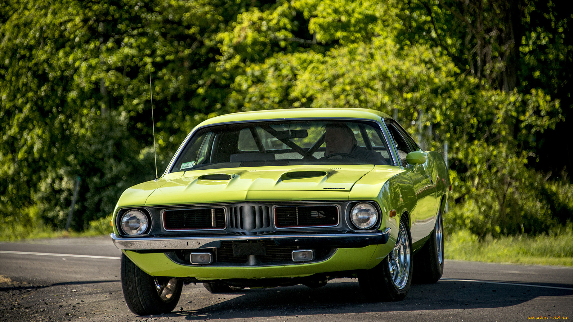 plymouth, cuda, автомобили, plymouth, автопробег, выставка, автошоу