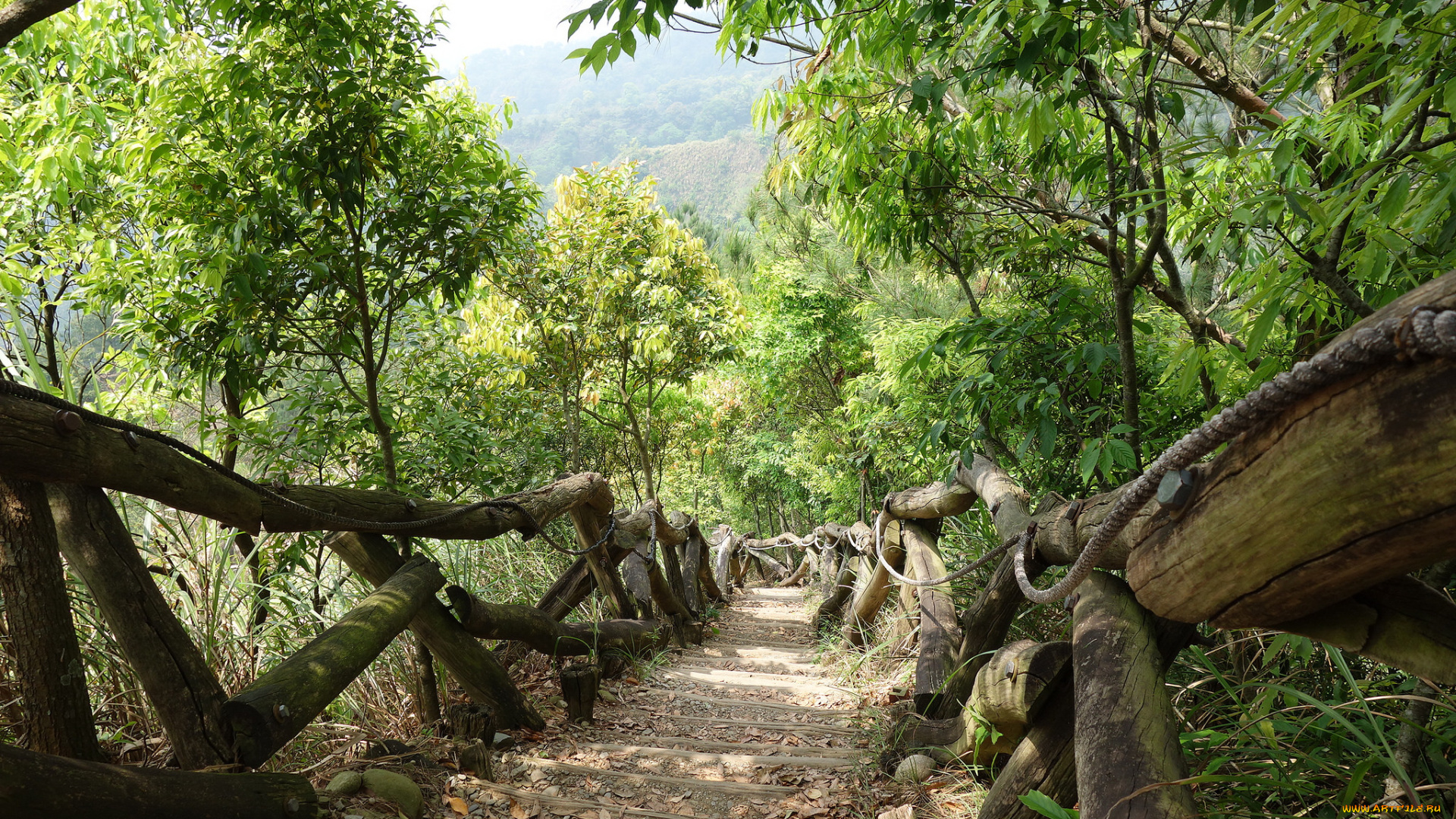 природа, дороги, лес, склон, перила, тропа