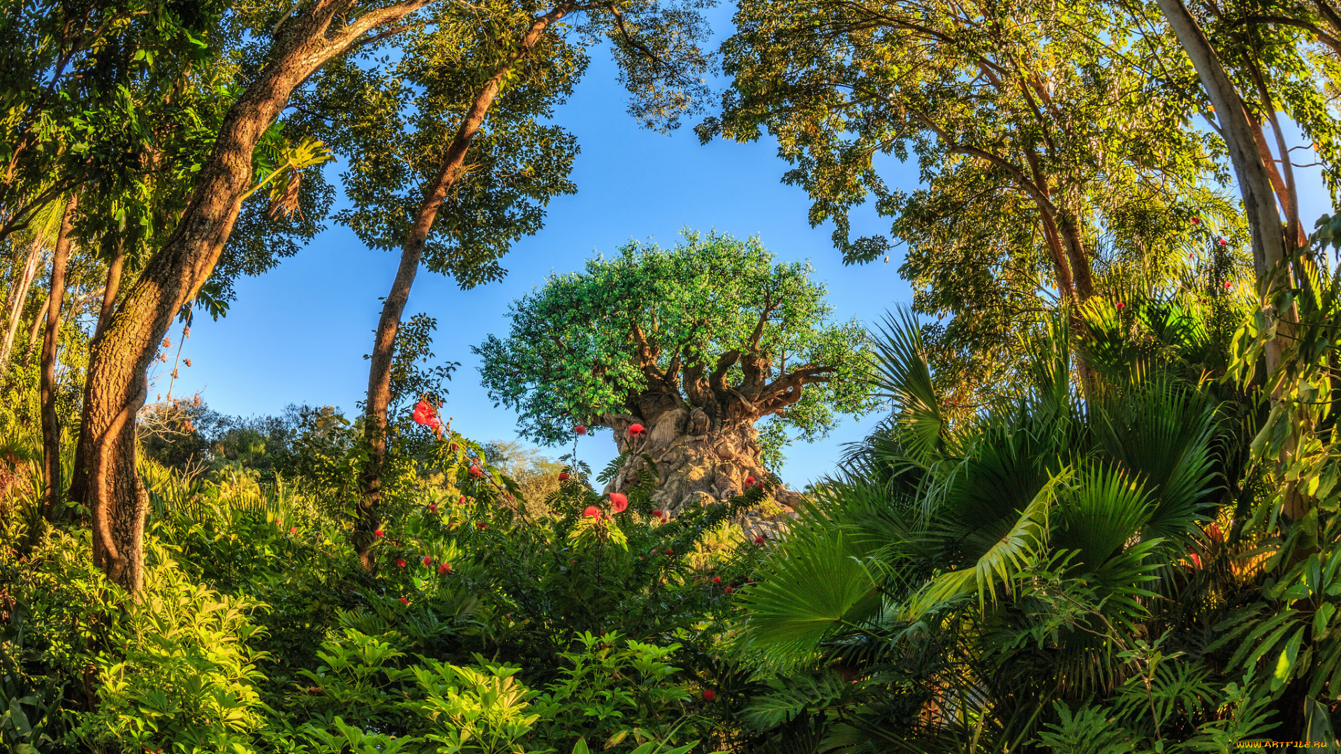 природа, парк, дерево