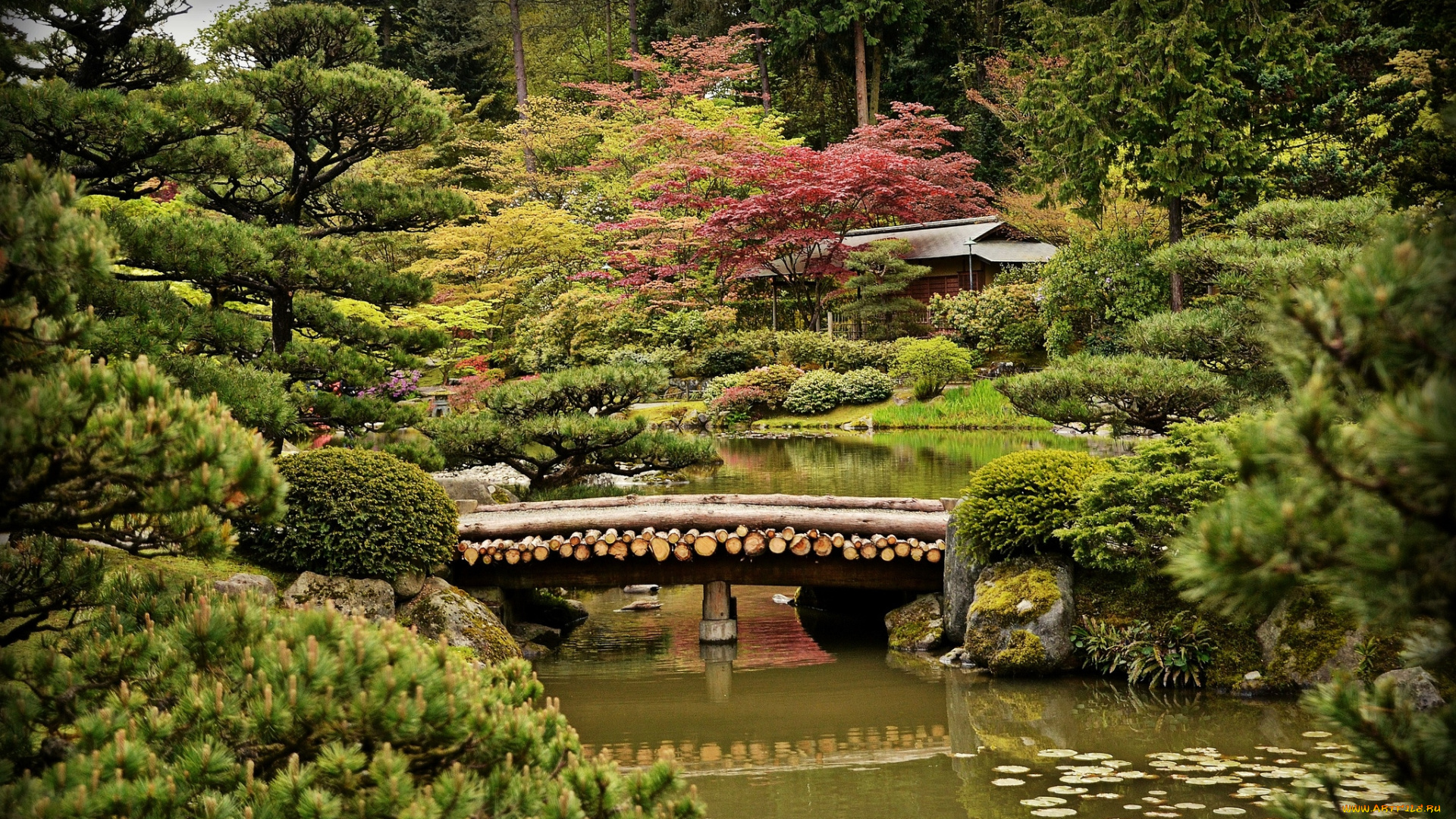 природа, парк, мост