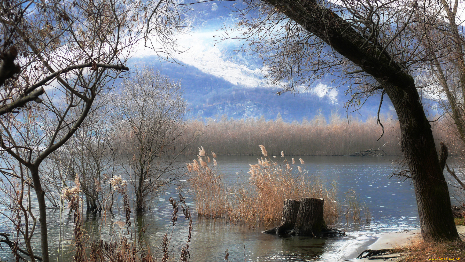 природа, пейзажи, дерево, камыш, река, горы, осень