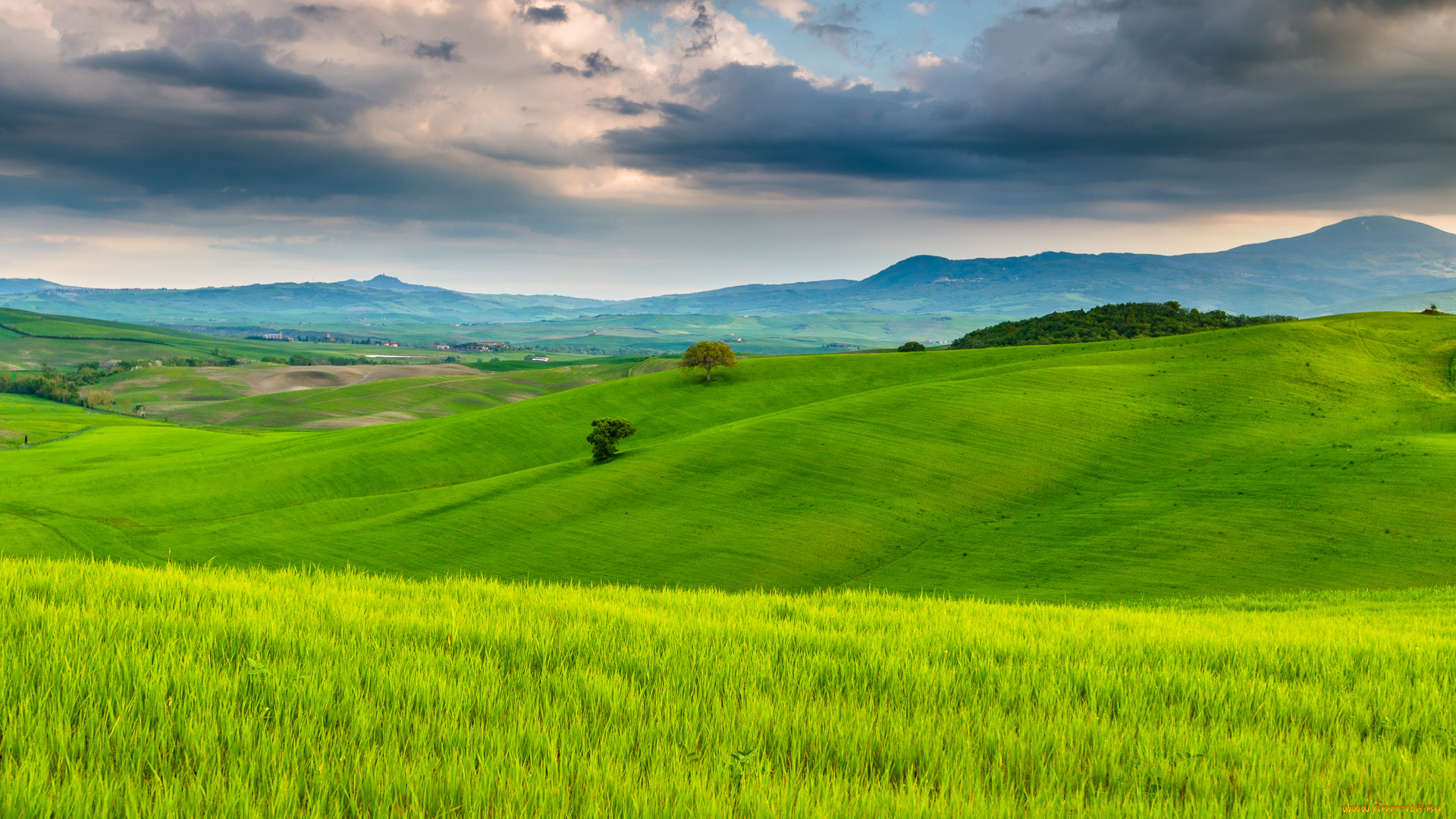 природа, поля, тоскана, италия, облака, небо, деревья