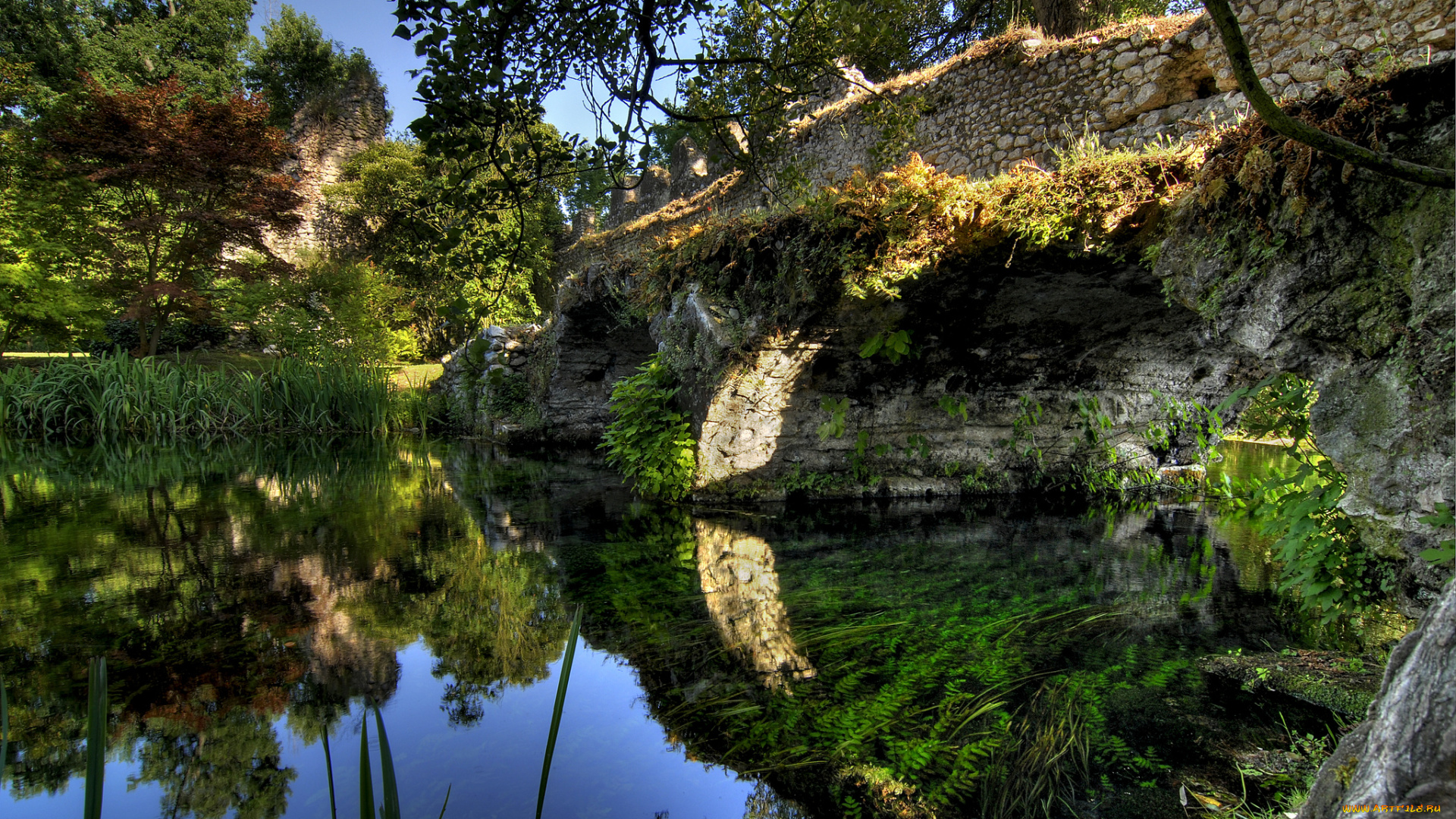 природа, реки, озера, мост, река, лес